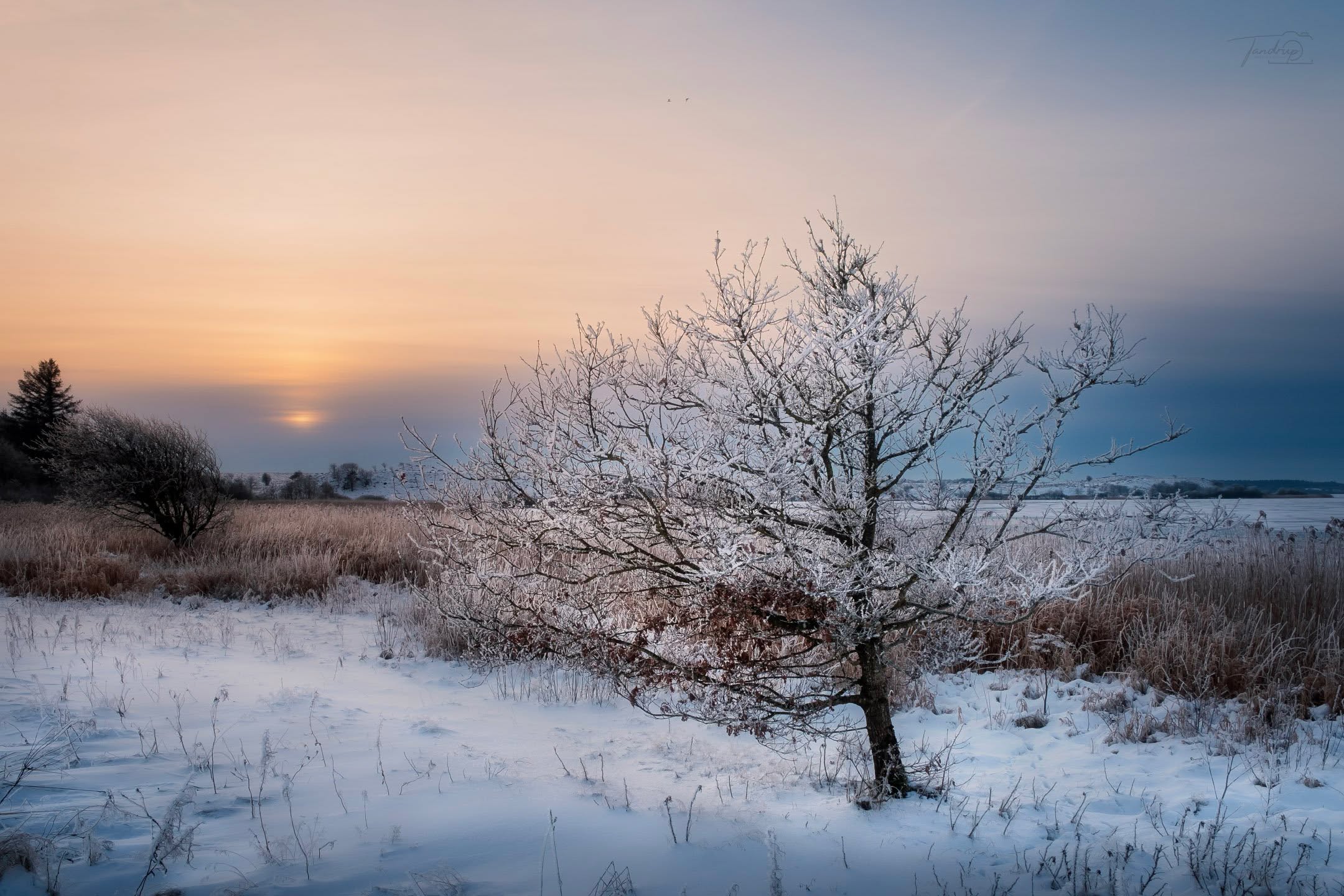 Vinter 🥶
-
-
-
#winterscene #tandrup_photography #skivekommune #naturephotography #frostytrees #total_denmark #micheltandrup #landscapephotography #voresskive #nordiclight #vinteridanmark #flyndersø #danmarksnatur #igersdenmark #midtjylland #wintermood #danskernatur #naturfotografi #frostymorning #determedihuslejen #skivenatur #landskabsfotografi #winterlandscape