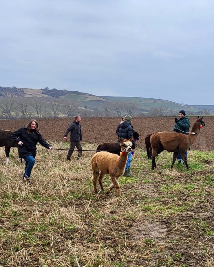 🤗
Hallo ihr Lieben!
😉 Augenscheinlich hat sich 🦙🤎 Karl heute verliebt 🤗
Können zwei Blicke schöner sein?🥰
Wir grüßen von der Samstagstour und wünschen euch ein schönes Wochenende!
🌺🫏🦙🦙🫏🦙🦙🫏🦙🦙🫏🦙🦙🌺
Hier sind alle bestens versorgt und jetzt wird gechillt!
🫶lichst,
🫏🦙 die Jungs
#selztallamas #stadeckenelsheim #rheinlandpfalz #rheinhessen
#rheinhessenliebe #mainz #firmenevent
#niederolm #wandern
#wandernmachtglücklich #lamas #wandernmitlamas #alpakas #wandernmitalpakas #esel #wandernmiteseln #outdoor
#draussenzuhause #begegnungshof
#begegnungshofselztallamas
#menschundtier #tieremachenglücklich #achtsamkeit #glücklich #ausflug #teamevent #afterwork #gutscheine