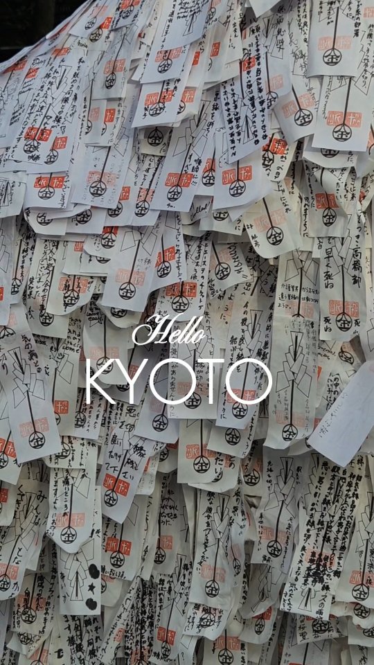 Hello Kyoto 1
So much walking, day and night!