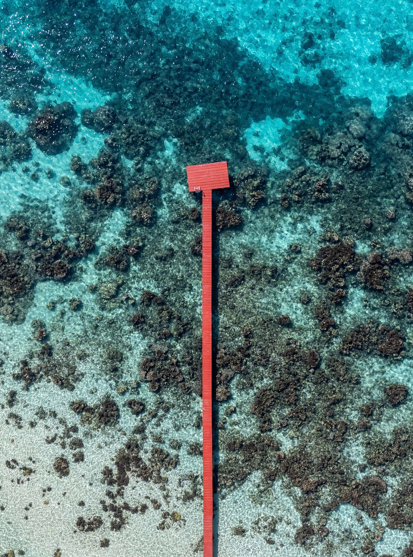 Un camino rojo trazado sobre el lagón turquesa de Moorea,
una invitación a avanzar, a soñar y a viajar más lejos.
.
A red pathway drawn across the turquoise lagoon of Moorea,
an invitation to move forward, to dream, and to travel farther.
📷 @dmonmond
#MoemoeaTravel #PolinesiaFrancesa #FrenchPolynesia #TurquoiseLagoon #IslandJourney #PathToParadise #DroneView #TravelInspiration #SlowTravel #OceanDreams #LoveTahiti