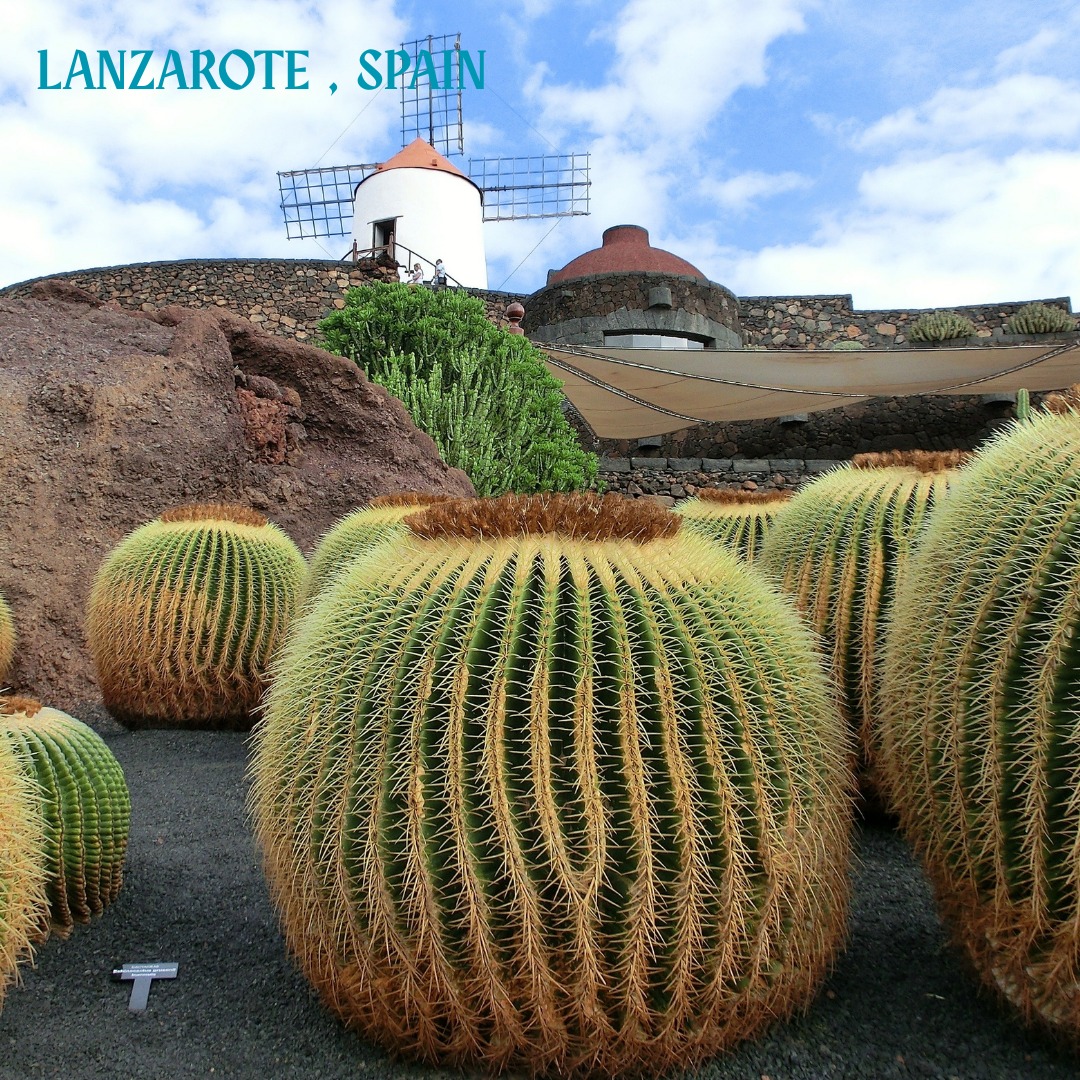 Lanzarote feels like a blend of Mars…
the 🌛 Moon…
and a black-lava desert —
all surrounded by bright turquoise 🌊 Atlantic water.
It’s the most volcanic-looking of all the Canary Islands, and every corner feels otherworldly.
Must do:
🪁 Hike a crater at sunrise
🪁 Surf or kiteboard at Famara
🪁 Eat fresh seafood in a coastal fishing village
🪁 Drive the volcanic La Geria wine route
🪁 Watch the stars in the desert — some of the darkest skies in Europe
🪁 Swim in natural volcanic pools at Punta Mujeres
A landscape shaped by fire, softened by ocean, and unforgettable at every turn.
#lanzarote #spain #europe #cruisedestination #cruiseplanner #enchantedwanderingstravel #tourplanner #luxurytravelplanner