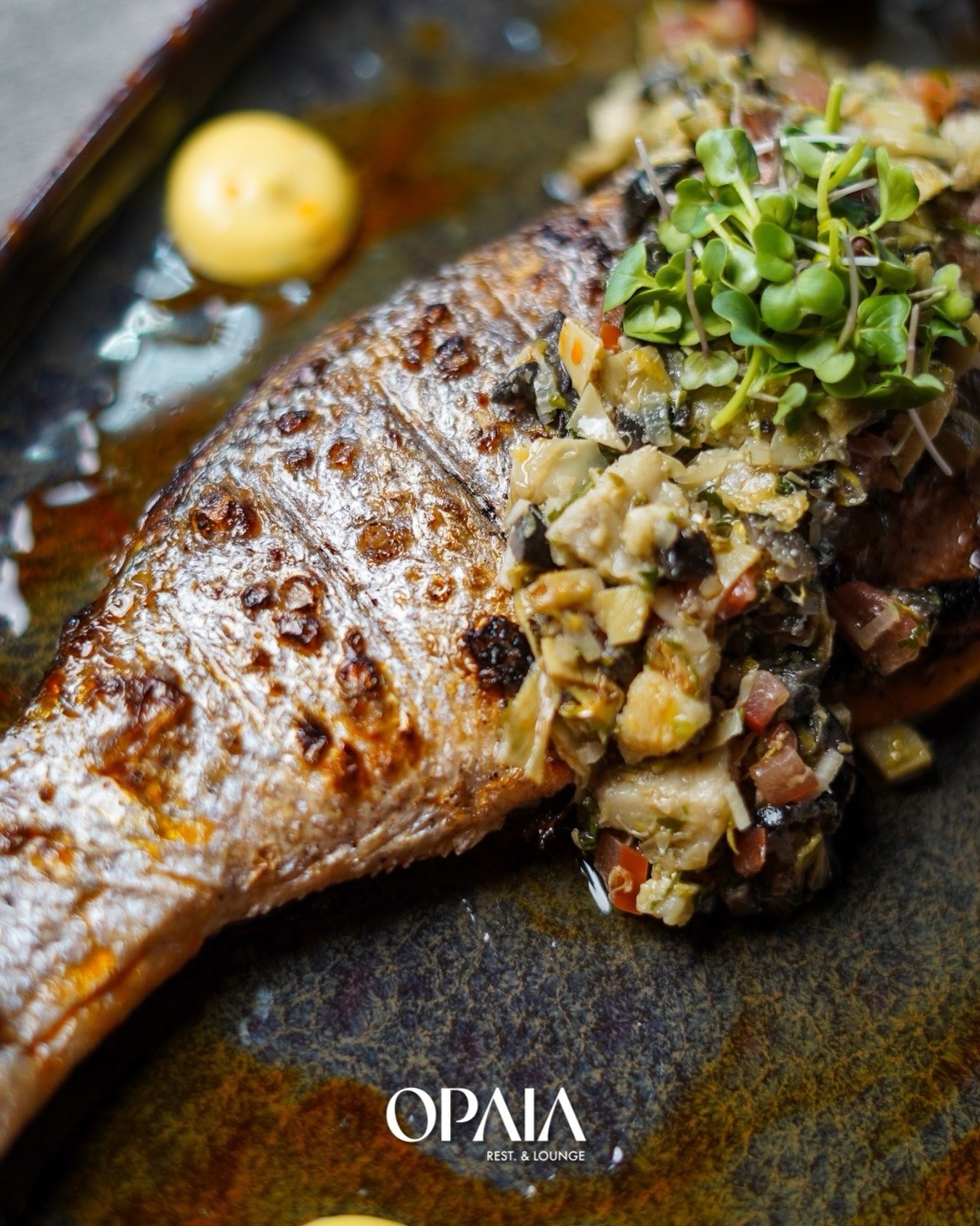 Fresh, rich, and perfectly grilled 🔥
A seafood favorite at OPAIA — full of flavor in every bite.
طعم يرد الروح
🕒 Daily: 7:00 AM - 3:00 AM
📍 Abu Dhabi Corniche - Lake Park
📞 050 403 0906
@opaia_lounge
#OPAIA #AbuDhabiCorniche #LakePark
#AbuDhabiRestaurants #مطاعم_ابوظبي