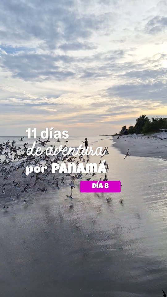 Durante toda nuestra mañana han sido las 12 🪁🌊 sumergiéndonos de lleno en el mundo del kite
#kite #puntachame #panama #nakama