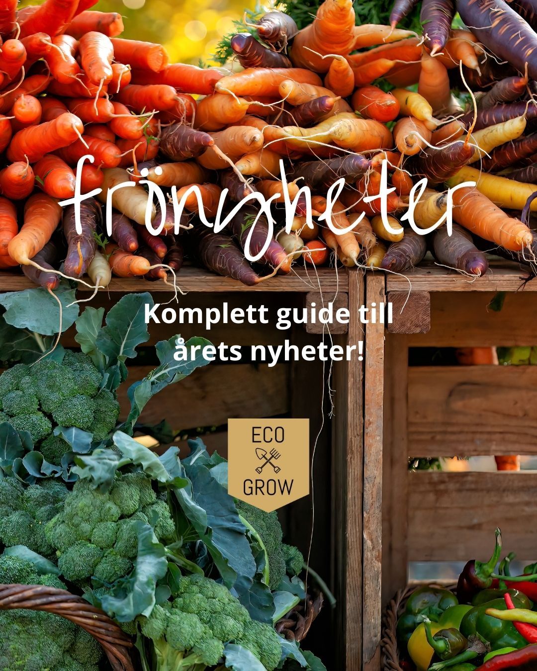 Årets frönyheter är här! 🌱
Upptäck våra nya sorter och djupdyk i vad som gör varje sort unik i vårt senaste blogginlägg.
Link in bio