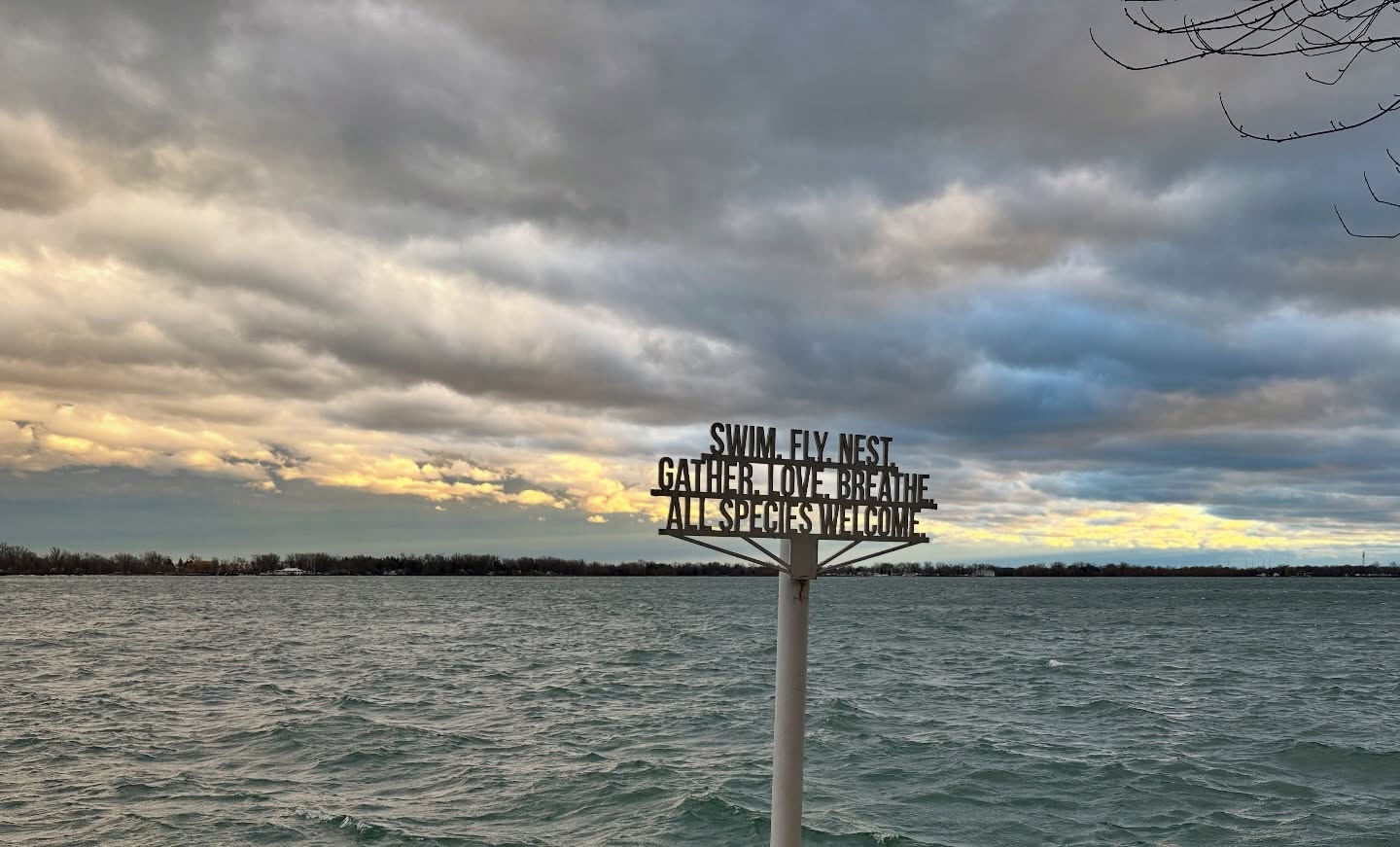 From wide-open lake views to quiet island paths just minutes from downtown, this is a city that welcomes visitors exactly as they are - curious, adventurous, and ready to explore.
Hop on a bike with us and follow along to discover why Toronto is one of the worlds greatest cities to visit 🚲✨
#PedalToronto #VisitToronto #TorontoIslands #ExploreCanada #Summer2026