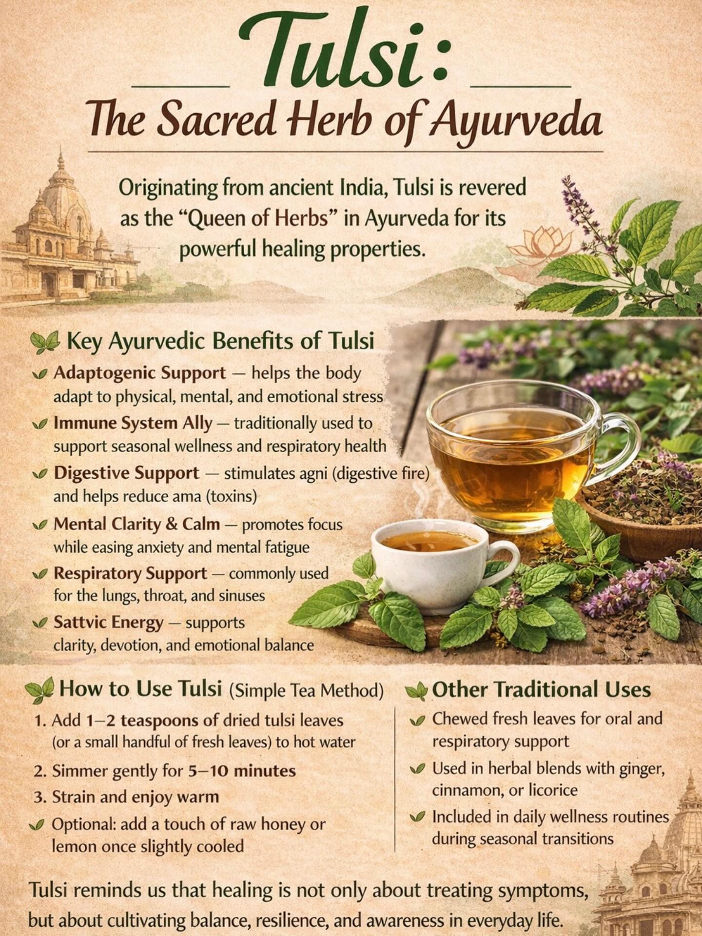 🌿 Tulsi (Holy Basil): The Sacred Healer of Ayurveda
Tulsi, also known as Holy Basil, is one of the most revered plants in Ayurveda and is often called the “Queen of Herbs.” Native to the Indian subcontinent, Tulsi has been grown for over 5,000 years in temple courtyards and family homes—not only as medicine, but as a sacred protector of health, clarity, and spiritual balance.
In Ayurveda, Tulsi is considered tridoshic, meaning it supports balance in Vata, Pitta, and Kapha when used appropriately. It is deeply valued for its ability to strengthen the body’s resilience while calming the mind and uplifting the spirit.
🌱 Key Ayurvedic Benefits of Tulsi
• Adaptogenic support – helps the body adapt to physical, mental, and emotional stress
• Immune system ally – traditionally used to support seasonal wellness and respiratory health
• Digestive support – stimulates agni (digestive fire) and helps reduce ama (toxins)
• Mental clarity & calm – promotes focus while easing anxiety and mental fatigue
• Respiratory support – commonly used for the lungs, throat, and sinuses
• Sattvic energy – supports clarity, devotion, and emotional balance
🍵 How to Use Tulsi (Simple Tea Method)
Tulsi is most commonly enjoyed as a tea, making it an easy daily ritual:
1. Add 1–2 teaspoons of dried tulsi leaves (or a small handful of fresh leaves) to hot water
2. Simmer gently for 5–10 minutes
3. Strain and enjoy warm
4. Optional: add a touch of raw honey or lemon once slightly cooled
Tulsi tea can be enjoyed in the morning to promote clarity or in the evening to calm the nervous system.
🌿 Other Traditional Uses
• Chewed fresh leaves for oral and respiratory support
• Used in herbal blends with ginger, cinnamon, or licorice
• Included in daily wellness routines during seasonal transitions
✨ Tulsi reminds us that healing is not only about treating symptoms, but about cultivating balance, resilience, and awareness in everyday life.
Visit us to learn more about Ayurvedic herbs, personalized guidance, and thoughtfully sourced wellness products. #tulsi #ayurveda #ayurvedic #yoga #asana