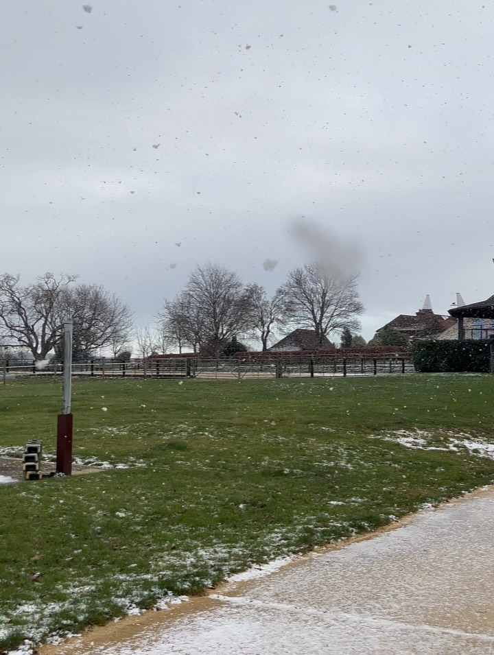 What a week it’s been… ❄️
Snow-covered yards, a frozen treadmill, and winter well and truly making itself known. We hope everyone has managed to stay warm and safe through the weather.
Amidst it all, we said farewell to lovely Tilly after a month of rehabilitation livery with us. It’s been a pleasure having her here, and we wish her all the very best as she continues her journey at home 🤍