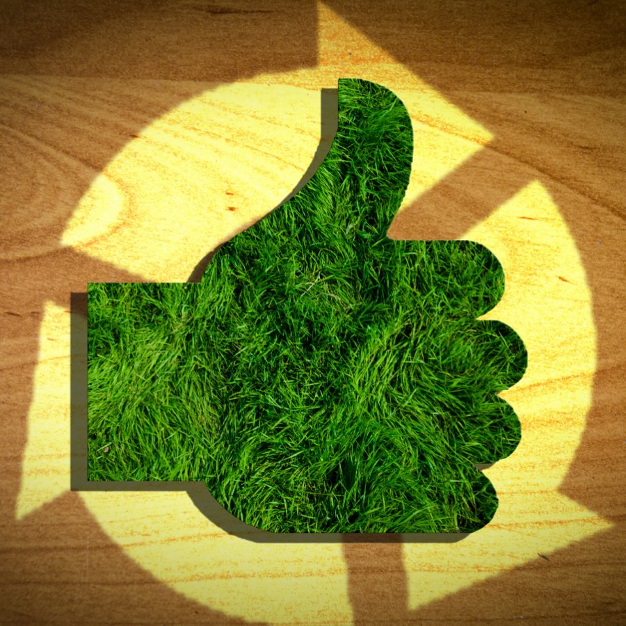 #saturdaymorning soil vibes...are yours bad or good? Healthy soil starts with testing. Begin the year right...test your soil with Safe Soil UK🌱
#SoilTesting #HealthyLand #safesoiluk