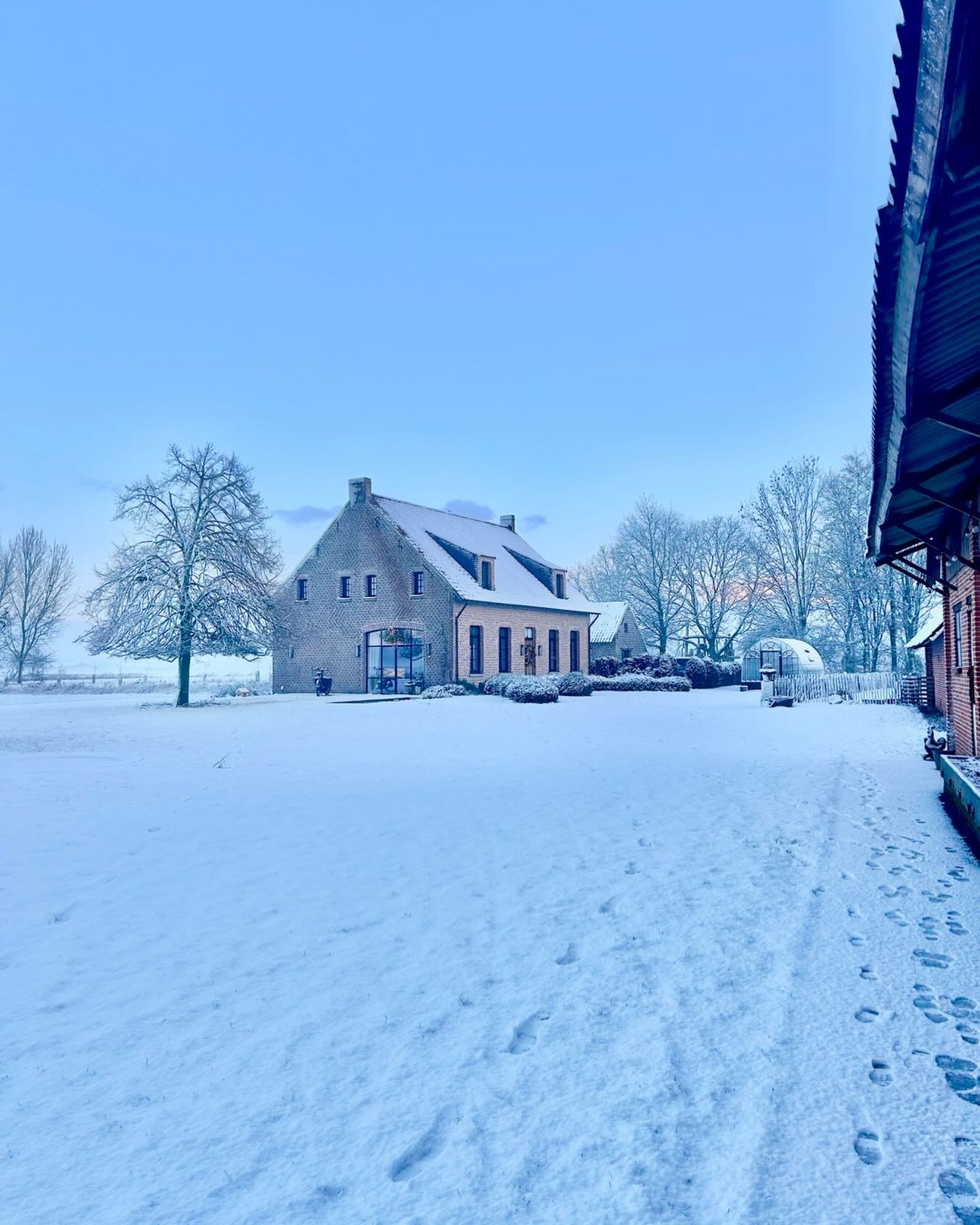 Precies een puzzel van 1000 stukjes 🤍 wat een plaatje