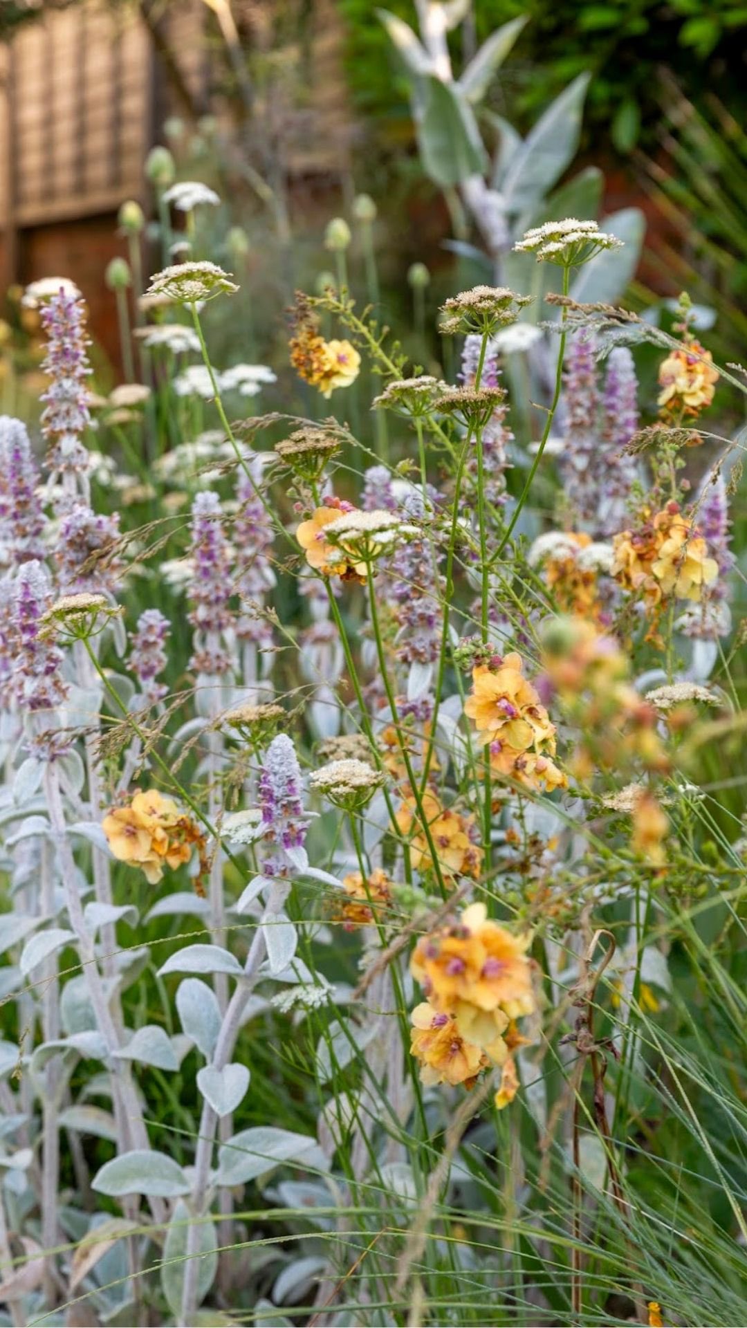 Four seasons. One garden. Always changing.
⸻
ABOUT: Joe Perkins Design is a multi-award-winning garden design consultancy, creating innovative outdoor spaces that celebrate the environment, wildlife, and biodiversity. Working across the UK and internationally, we partner with clients who share our passion for sustainable and visionary design. Discover more about our work at: www.joeperkinsdesign.com