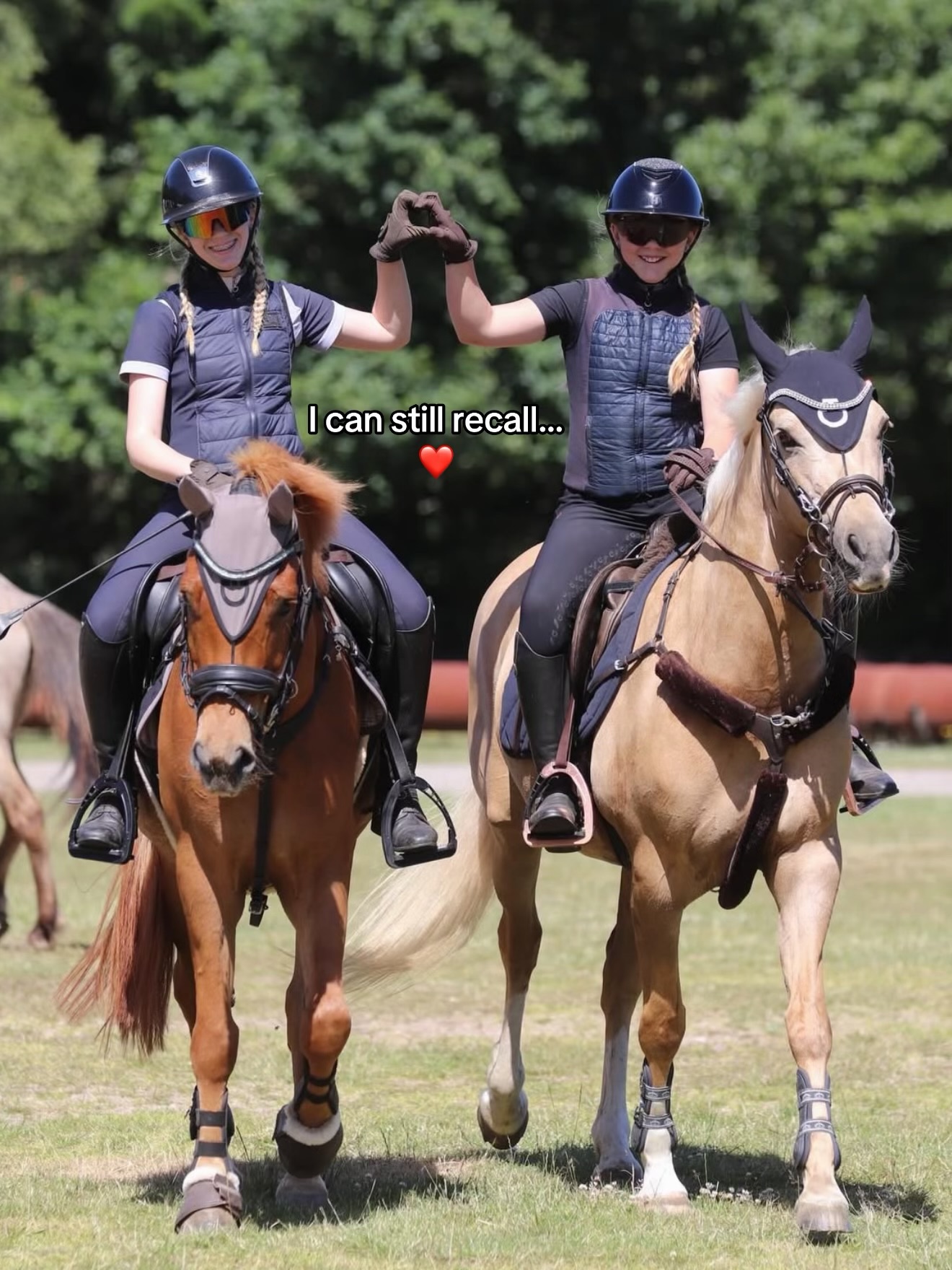 Minder❤️ Vi glæder os til sommerens lejr. Ses vi?😍🐴 #østerlundridelejr #danmarkssjovesteridelejr