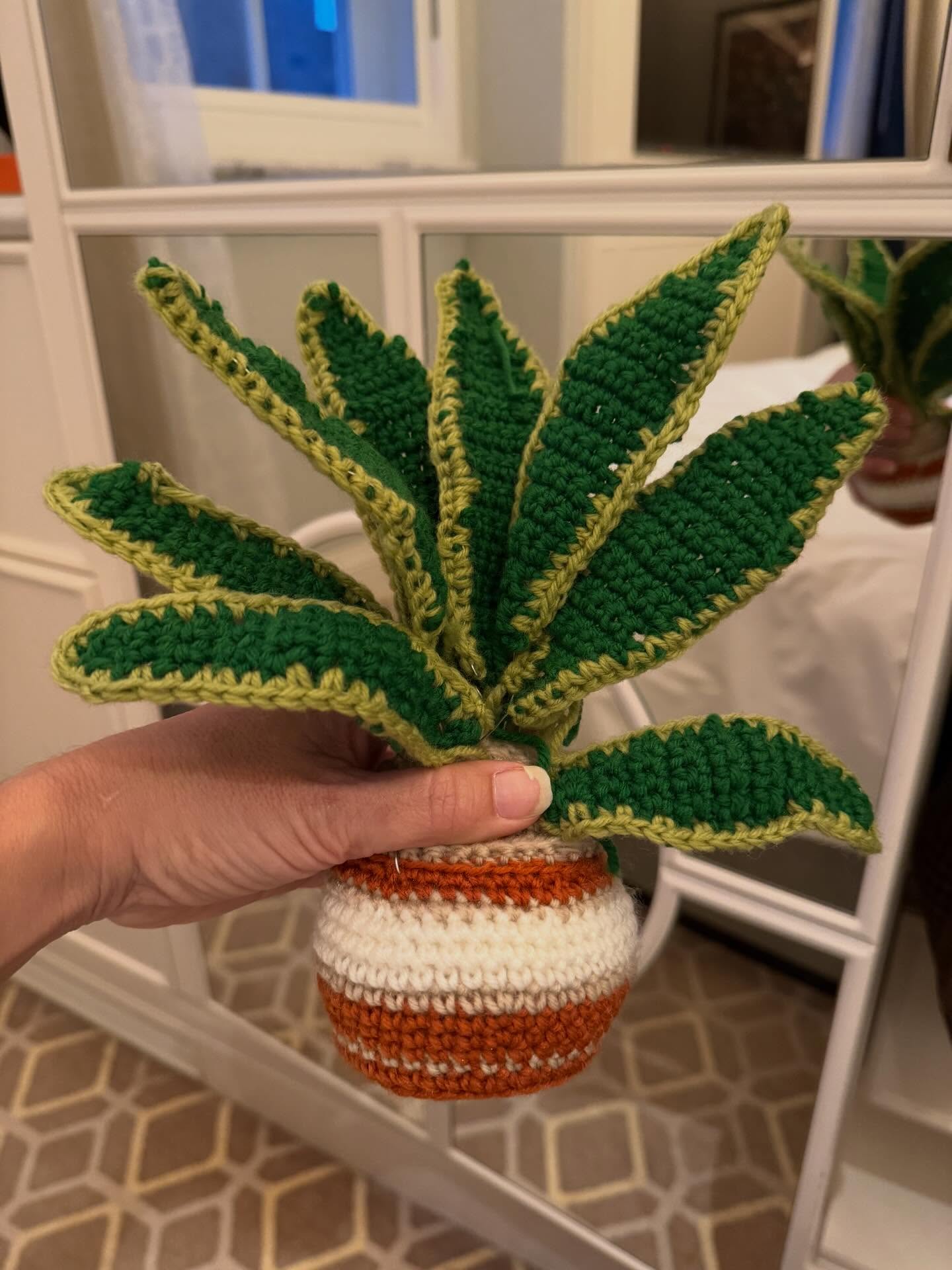 This is Sallythe new plant 🪴 I crocheted 🧶 thanks 🙏🏽 Jenny G and Kirsten for the fun kit🥰