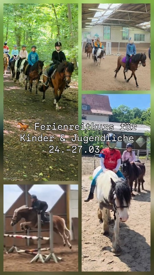 🐎 Ferienreitkurs für Kinder & Jugendliche
📅 24.–27.03.
📍 Braunschweig-Querum
🐴 2 Reitstunden täglich
Für Anfänger und Fortgeschrittene
🎲 Spiel, Spaß & Pferdezeit
👩🏫 Pferdefreunde 38
Leitung: Maresi Lange und Team
📩 Jetzt anmelden – Plätze begrenzt!
#Ferienreitkurs #Reitferien #Braunschweig #Querum #Kinderreiten #Pferdefreunde38