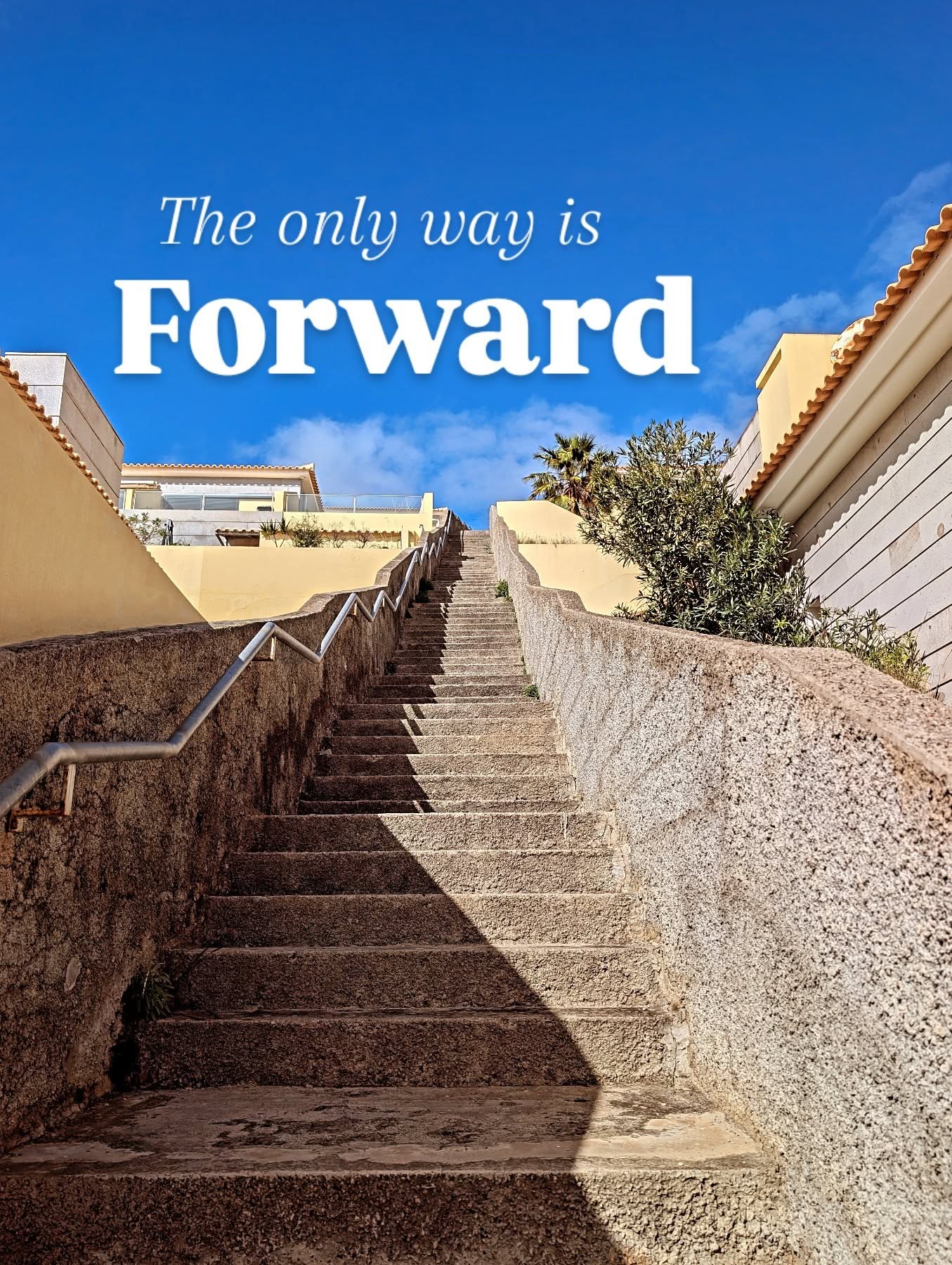 The only way is forward.
Did you know?
Porto Santo beach lines 1,2,3 etc. are often connected by hidden passages like this to make it easier for tourists cross into the street they need without cars.
(Between @penaaguaportosanto & @moinhodaslombasportosanto )
#portosantoisland❤️ #portosantoisland #howtoportosanto #holiday #local