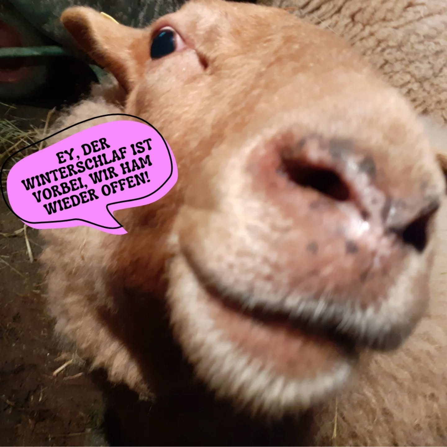 Neues Jahr, neue Abenteuer ✨
Wir haben wieder geöffnet, kommt vorbei!
#abenteuerspielplatz #stuttgart #vaihingen