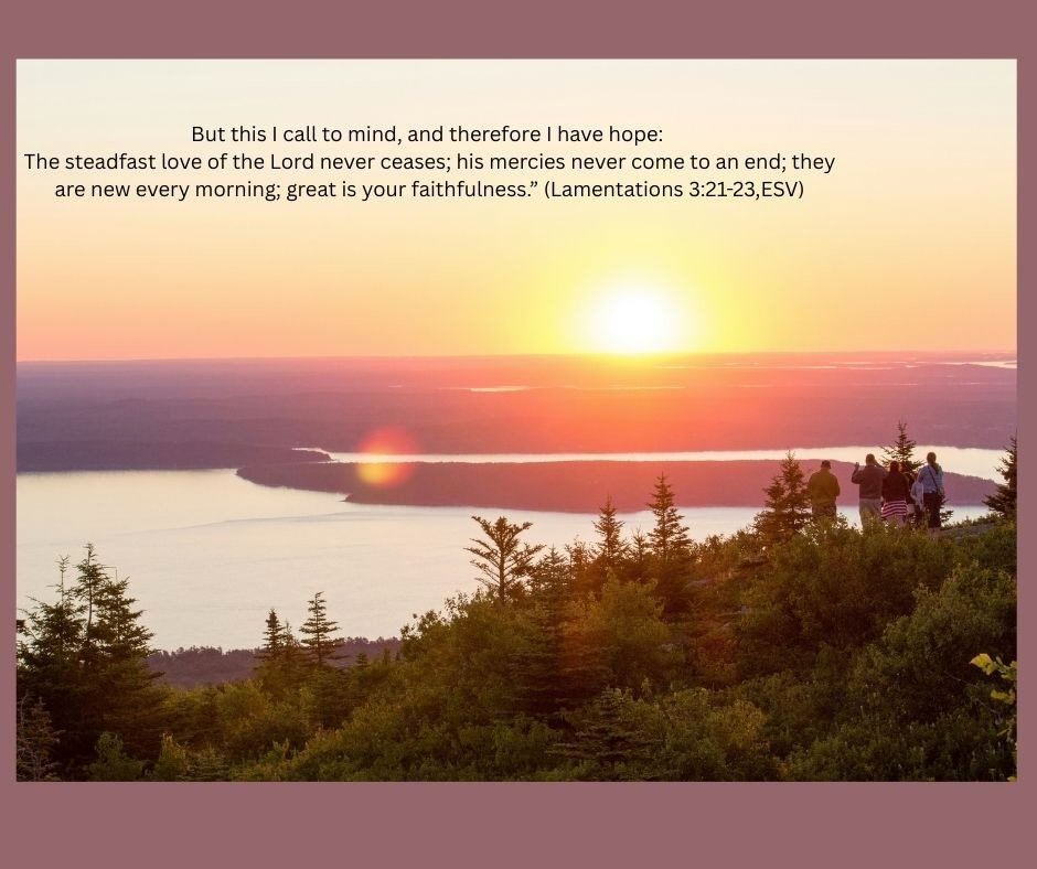 When we call to mind the steadfast love and faithfulness of God, we can start each day with Hope!
Link to blog post Daily Hope in my bio