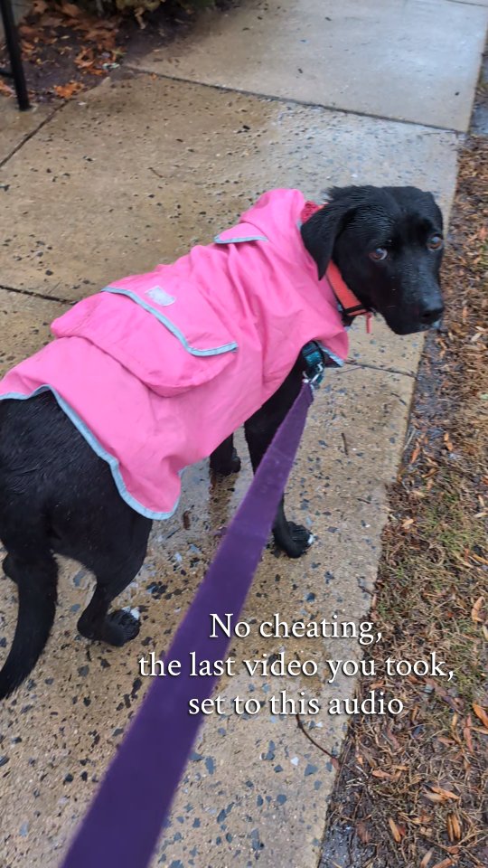 Why does she act like the rain is my fault?? 😭 ☔