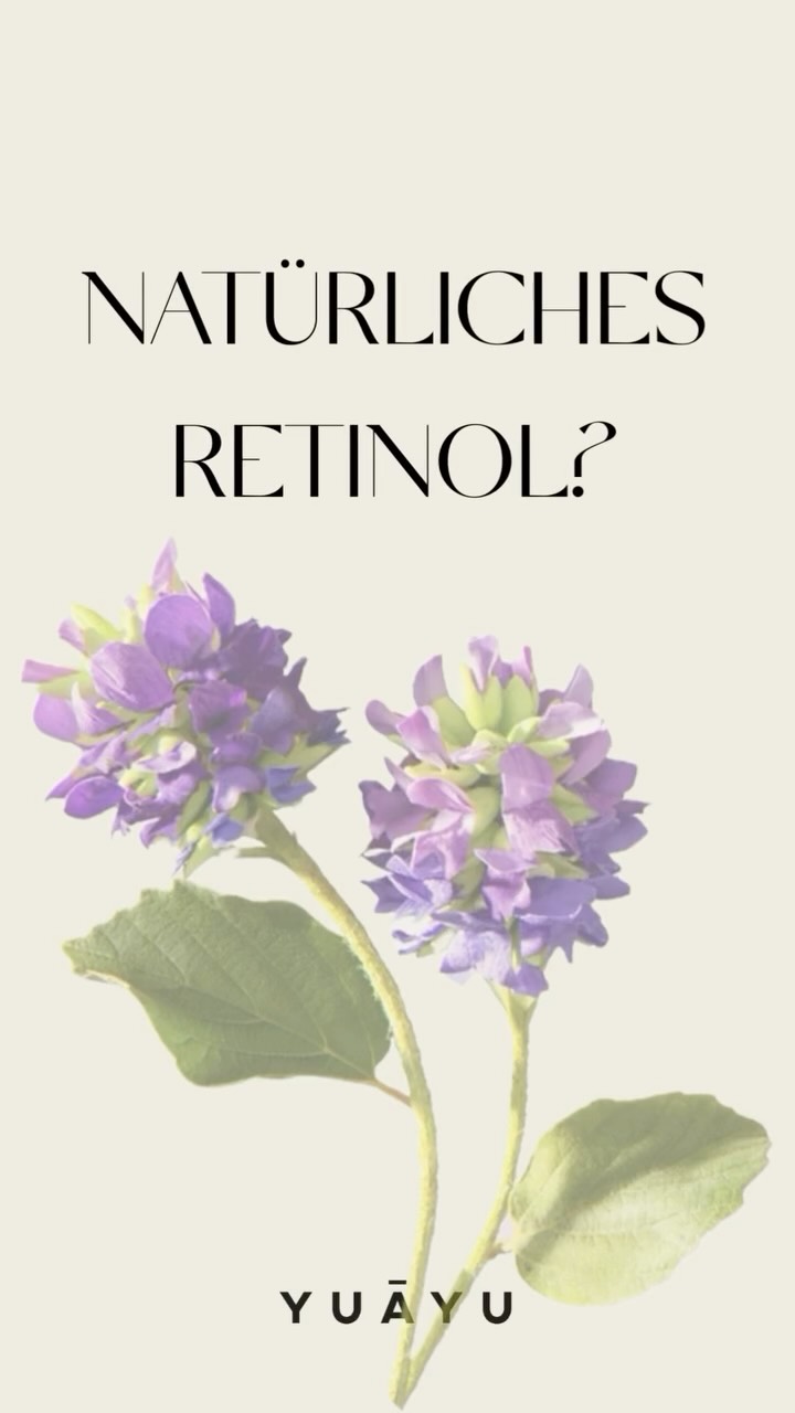 Es gibt einen Wirkstoff, der in der well-age Kosmetik nicht mehr wegzudenken ist: Retinol. Wirksam gegen Falten und feine Linien, bei Akne, Narben, um das Hautbild zu verfeinern, aufzupolstern… 💫
Nachteile des Vitamin A-Derivats können aber Reizungen, Rötungen oder schuppige Haut sein. 😕
Bei YUĀYU haben wir uns bewusst gegen Retinol und für Bakuchiol entschieden.
Ein pflanzlicher Wirkstoff, der Retinol in seiner Wirkung sehr ähnlich ist und seit Jahrhunderten in der Ayurveda-Medizin verwendet wird. Bakuchiol wird aus den Samen der Psoralea corylifolia gewonnen, auch Babchi genannt – eine Pflanze, die als hautverjüngend, reinigend und regenerierend gilt. Ihr wurde schon in alten Schriften zugeschrieben, das Hautbild zu verfeinern und den natürlichen Glanz wiederherzustellen. 🌬️💁🏼♀️
Es ist dabei sanft, pflanzlich und sehr gut verträglich, auch für sensible Haut und sogar während Schwangerschaft und Stillzeit. Bakuchiol ist in allen drei Elixiren enthalten, für eine wirksame aber sanfte Pflege jeden Tag. ✨
#wellage #yuayu #naturkosmetik #slowbeauty