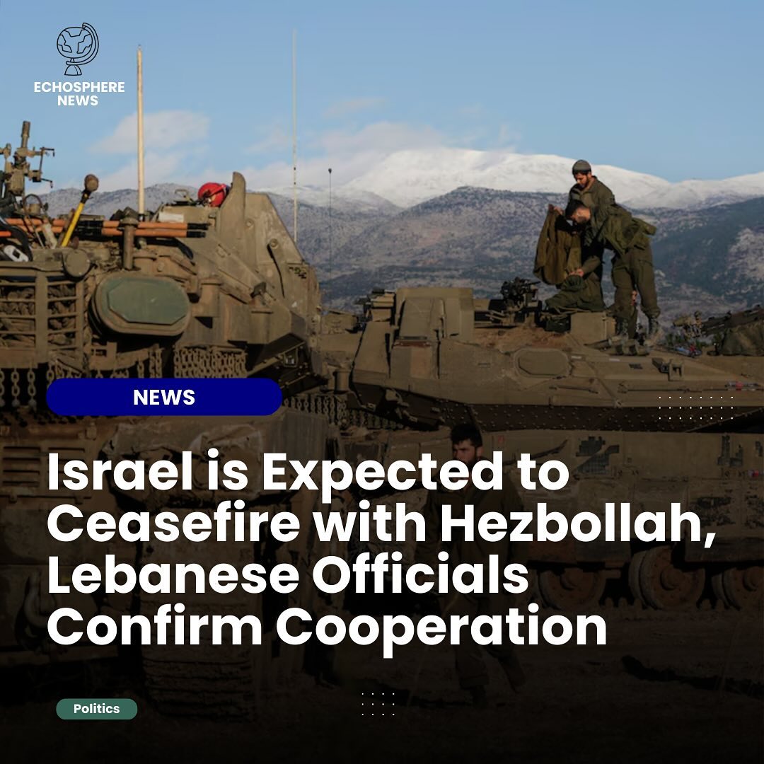 Read our newest article on our website! Link in bio 🌍