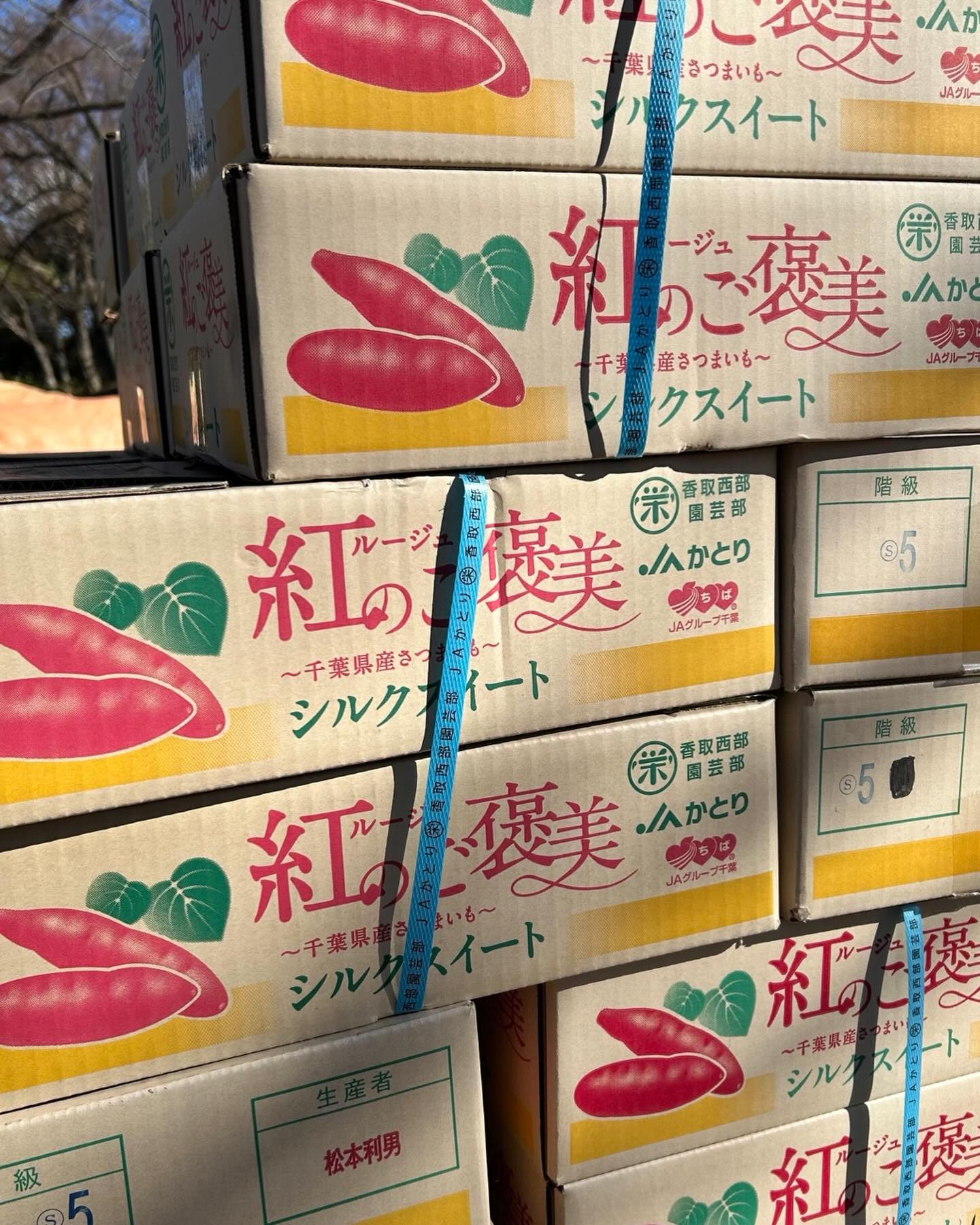 これから焼き芋になります!