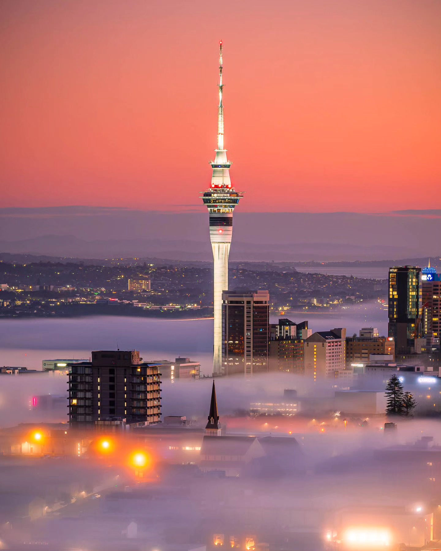 Missing those foggy winter mornings 🌁