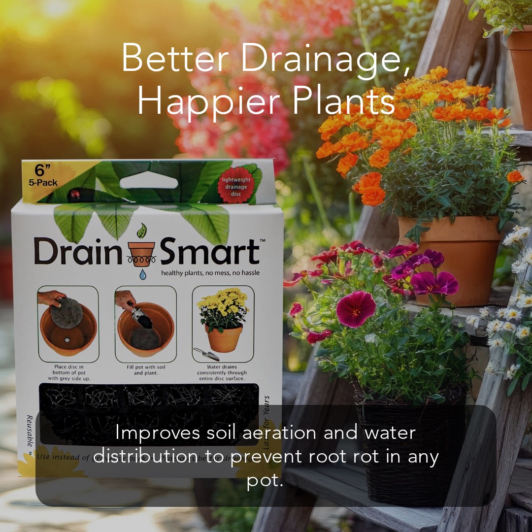 Plants, meet smarter drainage!
Keep roots healthy and pots mess-free with Drain Smart discs — reusable, easy to use, and perfect for indoor & outdoor plants of every size.
Get 10% OFF now on Amazon and plant smarter today! Shop now at driansmartusa.com
#DrainSmart #IndoorPlants #PlantCare #HealthyRoots #AmazonDeals