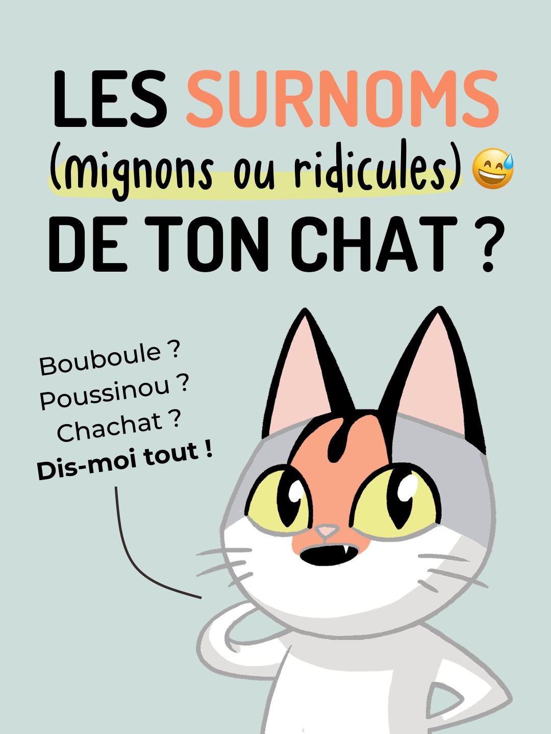 Un petit post participatif pour bien commencer l’année, et en profiter pour mieux vous connaître, vous et vos chats 🐱🥰
Parce que oui, nos adorables félins ont un nom officiel - mais aussi, soyons honnêtes, toute une collection de surnoms… plus ou moins assumés! 😅
Je vous ai partagé ceux de ma petite troupe, alors je compte sur vous pour que je me sente moins seule : à vous de jouer en commentaire👇💬
Promis, on ne juge pas. 😁💚
#surnomchat #poussinou #passionchat