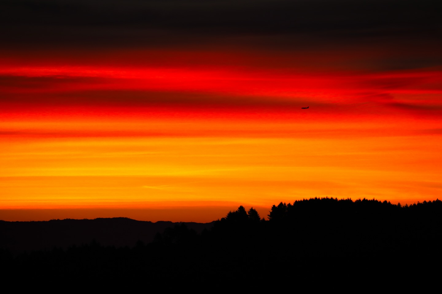 Montara Mountain hike, check out the views from above!
#hike #sunrise #photography