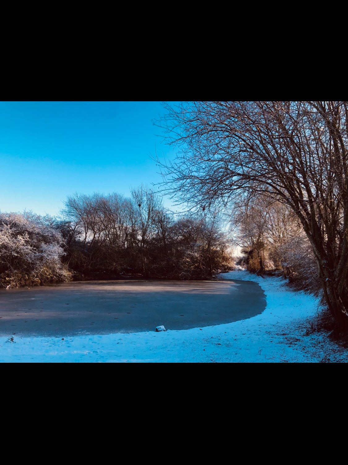Quand l’hiver habille la ferme d’une parure blanche ❄️