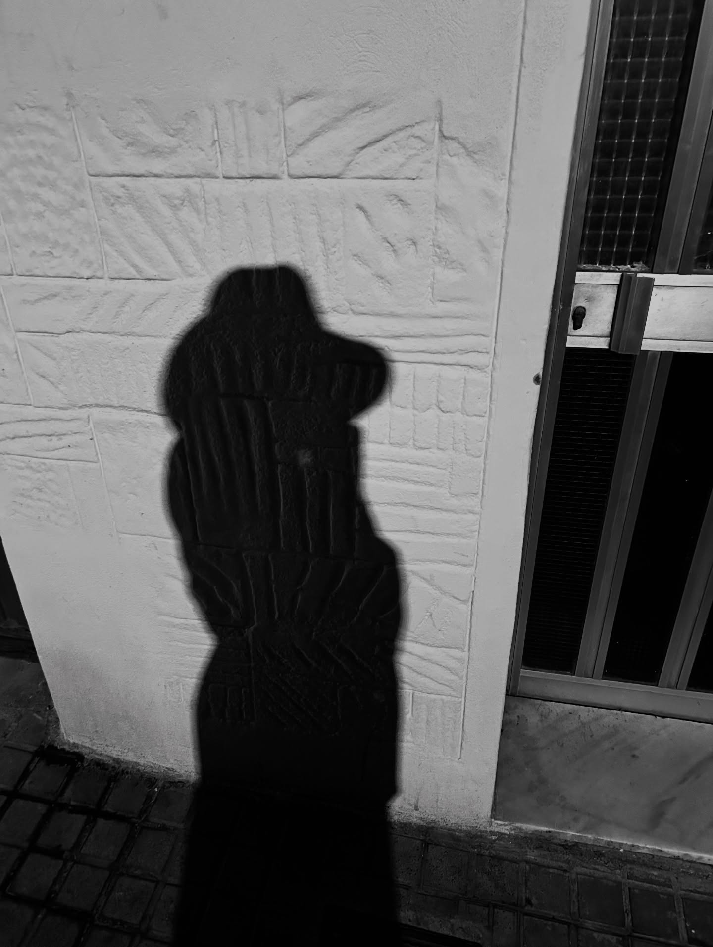 Don’t fear your shadows.
They mean you are standing in the light.