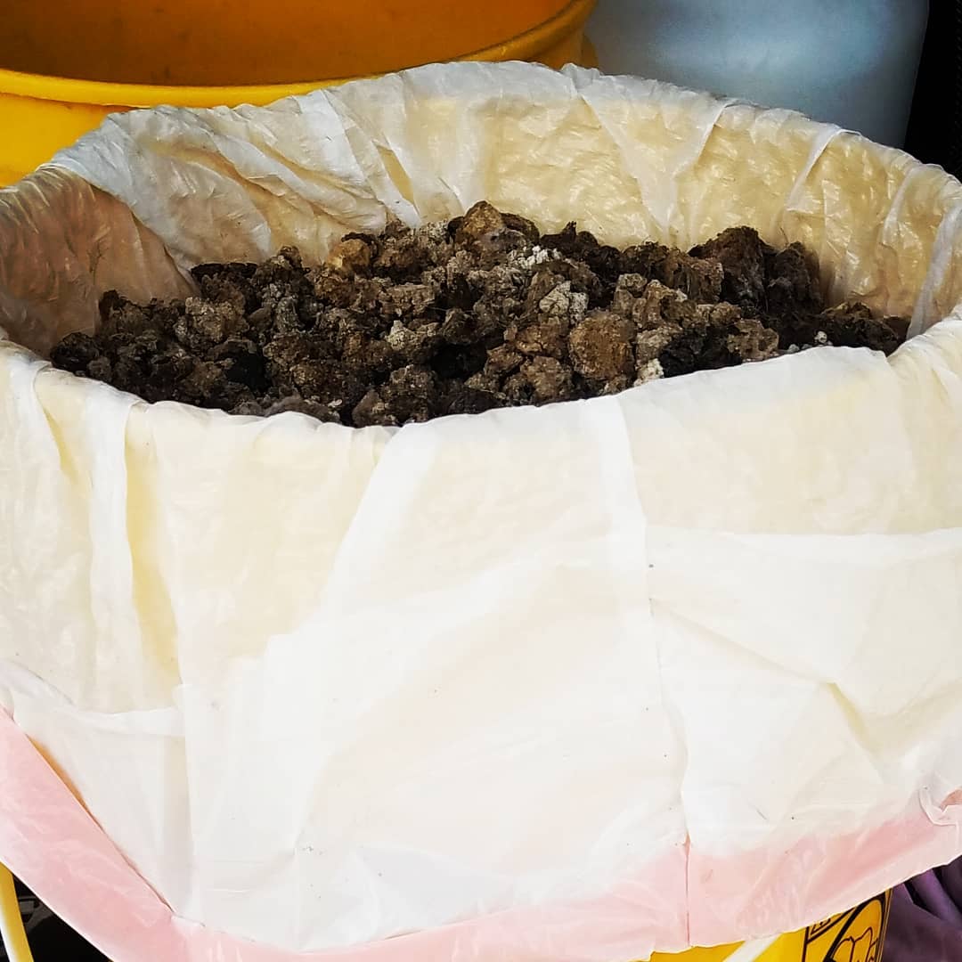 Don't just throw it away...
Turd It Away is your Eco-Friendly Pooper Scooper Service in Las Vegas. Call now for your #FREEestimate #7024620050
•Complete Dog Waste Clean Up & Haul Away •Scent Relief •Fully Biodegradable Products •Fecal Matter Testing Available (Optional) #turditaway #pooperscooperservice #greatprices #pooperscooper #poop #turd #haulaway #fecalmatter #cleanyard #FREEestimate #7024620050