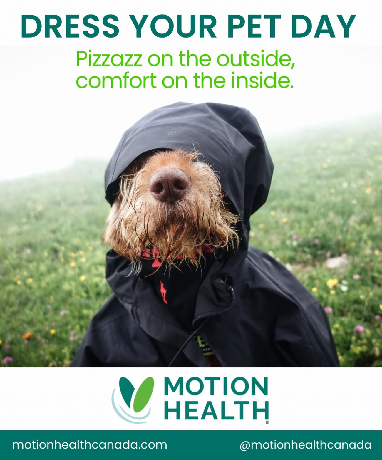 Itās National Dress Your Pet Day
Whether itās cozy, silly, or stylish, a little extra pizzazz makes today even more fun⦠because comfort and personality always go paw in paw. š¾
#motionhealth #dressyourpetday #painfree #foryouforyourpets #preventrepairrestore