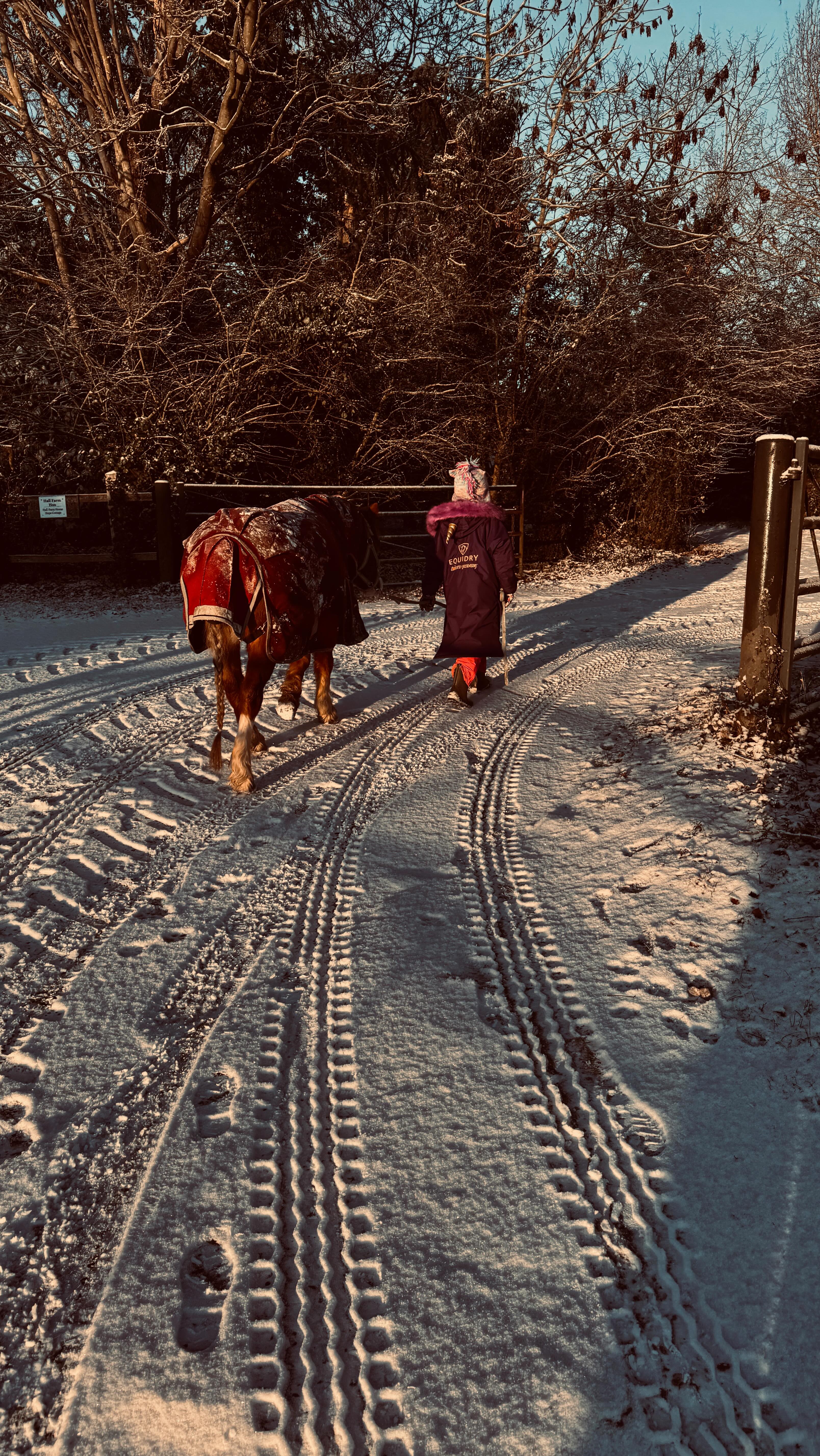 Here’s a short routine to do if you’re feeling stiff and tight through your upper back, neck and shoulders this winter ❄️