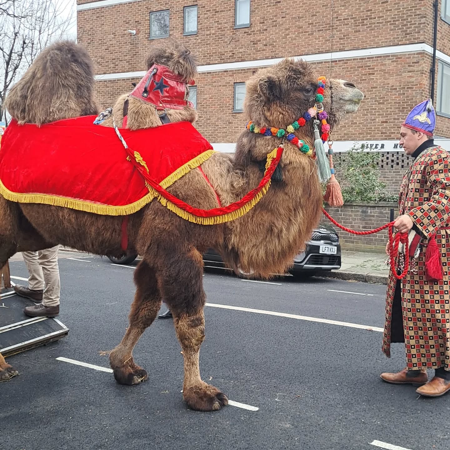 Fr Kieron was out with our partner church @stmichaelbarnes to talk about our upcoming trip to @taize
We had a wonderful time at the Epiphany service, and we got to meet Baxter the camel 🐫
Several young people are signing up to our Taize trip from Barnes. You should too!!!
Head to our website for details !
@southwarkcofe
@putney_parish
#youthministry❤️