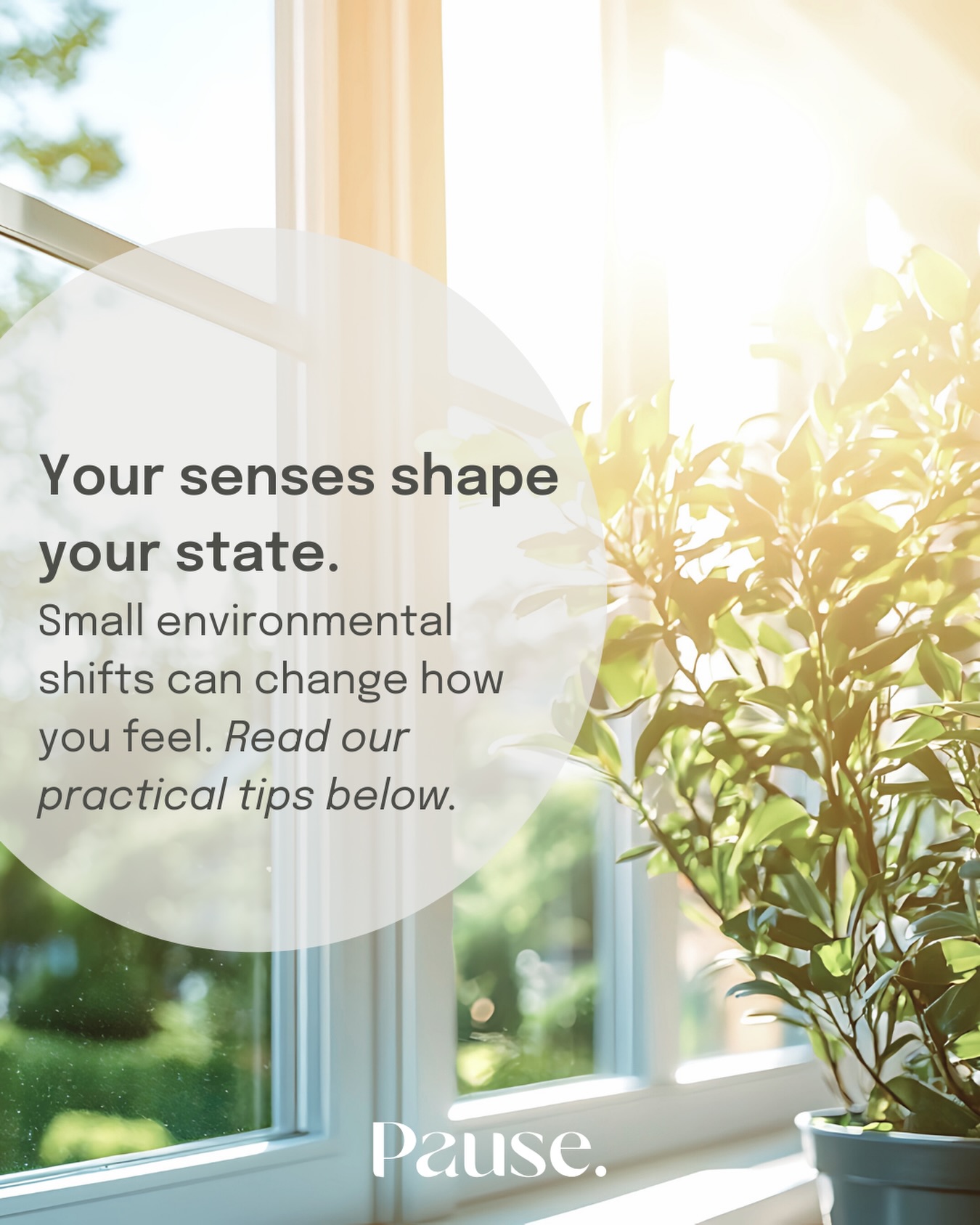 Your nervous system is constantly responding to what you see, hear, smell and touch - often before you realise it. 🌸
Small sensory tweaks can have a big impact on how regulated you feel:
• sound: lower background noise, choose softer music
• light: warm lamps over bright overheads
• scent: calming aromatherapy to shift your pace
• touch: softer textures, cooler or warmer fabrics depending on the day
• space: clear one surface so your eyes have somewhere to rest
Calm isn’t just internal - it’s shaped by the environment around you. ✨
#pausecollective #mindfulmoments #mindfulliving #intentionalliving #slowlivingaustralia