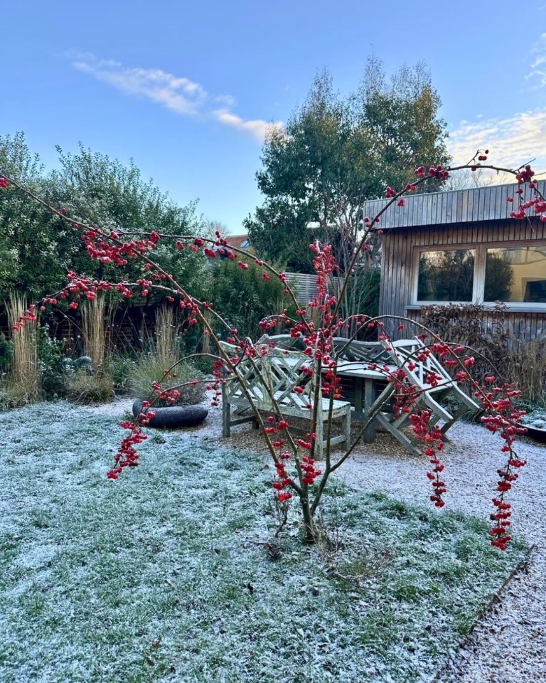 There’s something especially lovely about a garden with a light dusting of snow — it simplifies the scene and allows structure, form and colour to shine.
The red berries of the crab apple bring a welcome splash of colour and are fantastic for wildlife. It’s one of our favourite trees for the value it gives right through the year, from spring blossom to autumn fruit, winter interest and food for the birds.
Evergreen shrubs and ground cover hold the garden together, while grasses and perennials are beautiful as they brown and weather, retaining shape and texture long after the growing season has passed.
Even in the depths of winter, the garden continues to offer food and shelter, proving that good design doesn’t switch off when the temperature drops.
⸻
ABOUT: Joe Perkins Design is a multi-award-winning landscape design consultancy, creating innovative outdoor spaces that celebrate the environment, wildlife, and biodiversity. Working across the UK and internationally, we partner with clients who share our passion for sustainable and visionary design. Discover more about our work at: www.joeperkinsdesign.com