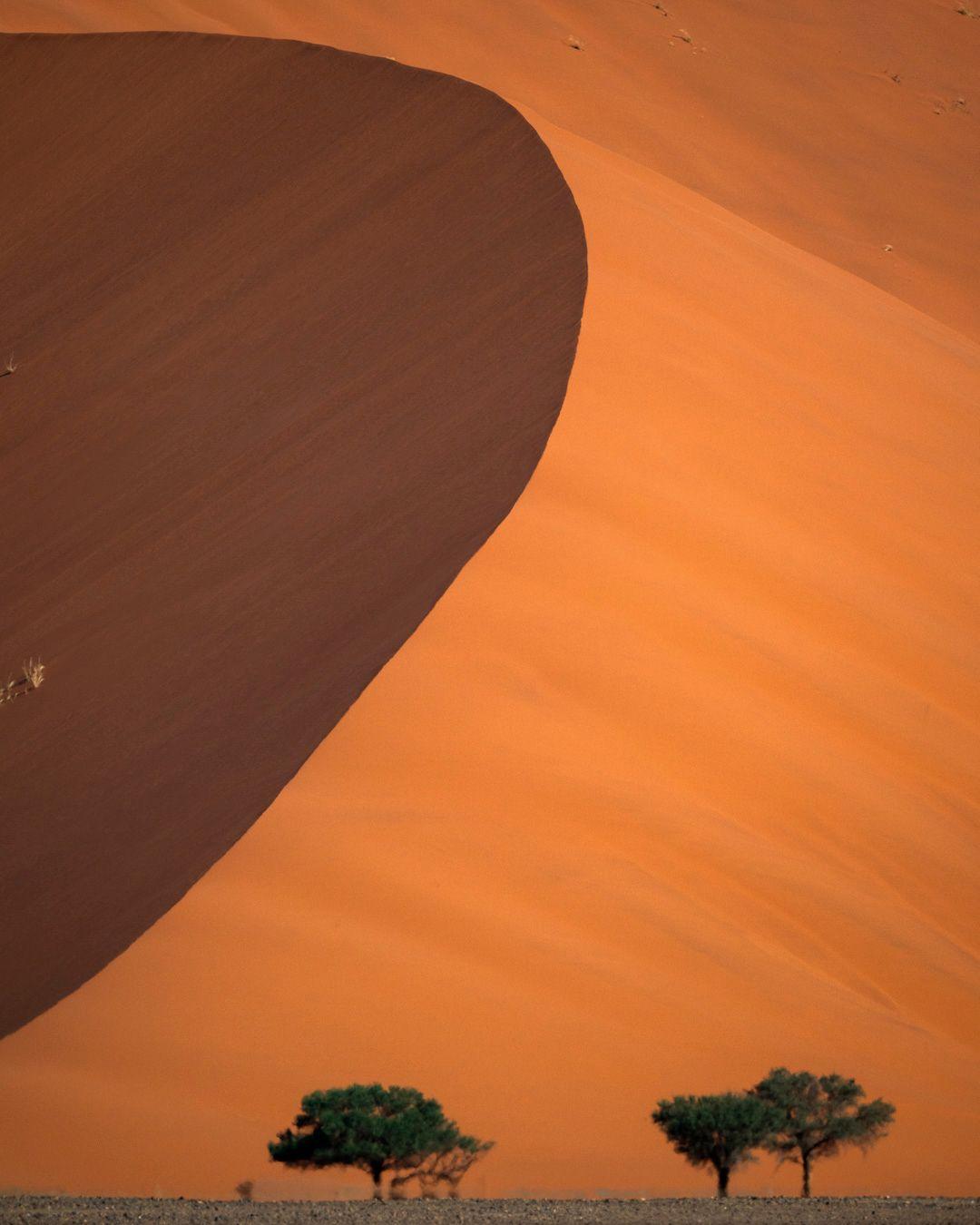 What’s shaping luxury travel in 2026? It’s no longer just about where you go, but how you experience it and why it matters.
Travelers are planning with greater intention, favoring longer stays, slower pacing, and experiences that feel deeply meaningful.
Across the board, travel is increasingly personal, aligned with values / passions, and leaves travelers feeling connected to both the destination and themselves.
Where will 2026 take you? We would love to help you find your next favorite place to slow down and enjoy a truly incredible experience. Email info@alpenglowtravel.com to get started planning.
.
.
.
.
#AlpenglowTravel #LuxuryTravelAdvisor #TravelTrends #HighEndTravel #BespokeTravel