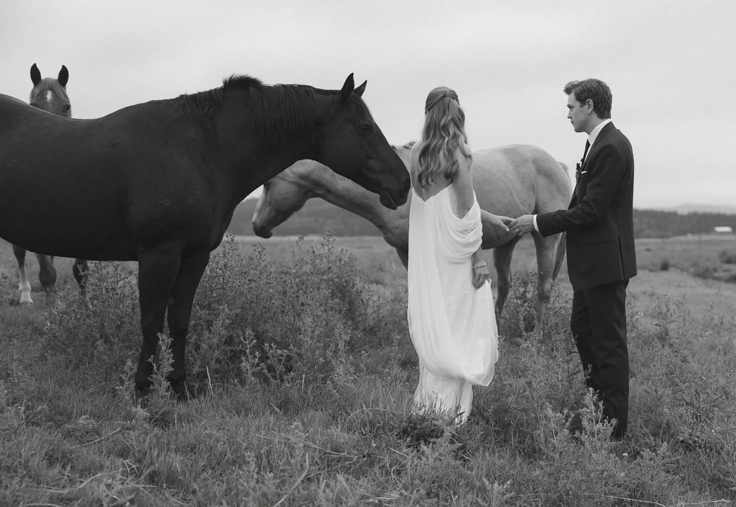 "I was looking for something simple but still unique — and the Priscilla dress was exactly that.”
With a softly draped bodice, an elegant off-shoulder neckline, and a detachable cape that adds an unexpected edge, Priscilla is designed for brides who want to feel special without being over the top.
Found at @blushandravenyyc in Calgary, and worn beautifully by OUMA Bride @missymac_ on her wedding day — proof that quiet details can make the strongest impression.
#OUMABride #PriscillaDress #CalgaryBride #BlushAndRaven #ModernBride