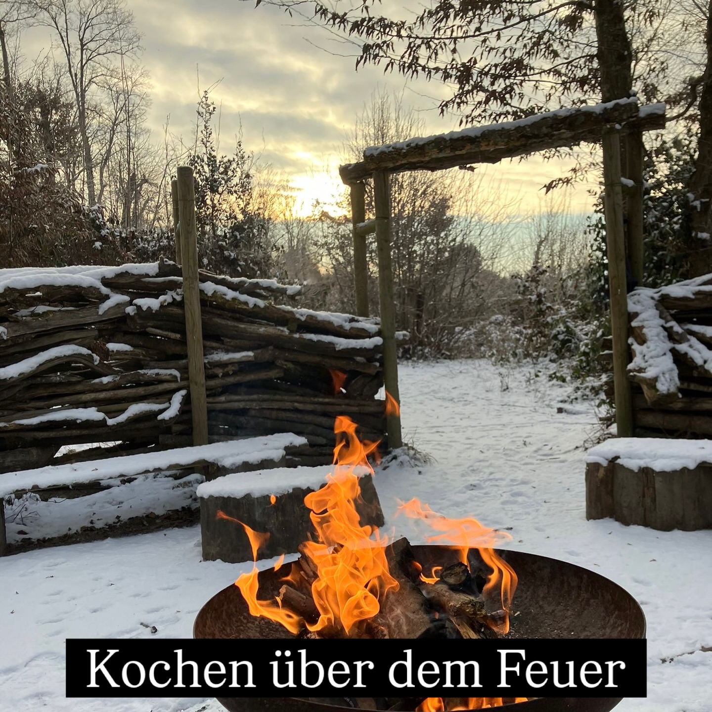 Kochen über dem Feuer ❄️🔥🌲
seit 7 Jahren gehe ich mit den Kindern in den Wald - aber so kalt wie an diesem Morgen war es noch nie. 🥶-12 Grad zeigte es an.
Die Kinder waren super angezogen - den Skihelm und Füdlibob im Gepäck.❄️
Auf dem Weg in den Wald gabs einen 1. Zwischenstop, um den Königskuchen zu essen.
Im 2. letzten Brötli haben wir die Nuss dann entdeckt. (ein Kind, welches krank zuhause war, durfte mitraten) 👑
Dann wurde getanzt und gesungen und eine Runde geschlittelt. Meine liebsten Senioren haben schon Feuer gemacht und Wasser aufgesetzt. 🔥
Was ich den Kindern immer wieder sage:
„wenn Du kalt hast, bewege Dich. Nicht stehen bleiben“ 🥶
Dann haben wir gekocht und uns am Feuer aufgewärmt. Feines Poltenta geschlemmt und dann ging ich mit den Kindern wieder schlitteln - auch ich testete es aus. Hah war das witzig. 😂
Did Kinder haben mich so angefeuert 💪🏼
2 Kinder hatten kalte Hände, da sie sich nicht bewegt und keine guten Handschuhe hatten. Ich habe immer Handschuhe und elektrische Wärmepads dabei. 😃
Das hilft immer.
Zum Aufwärmen gab es im Wald heisse und cremige Polenta mit Topping nach Wahl. 😋
zum Rezept für 16 Kinder und 3 Erwachsene:
2-3 Liter Wasser
1 Liter Milch
Salz und nach Belieben Bouillon
aufkochen
(Vorsicht, es kann überkochen und das Feuer auslöschen 😄🔥)
dann 750g feines Polenta dazugeben und rühren.
je nach dem noch heisses Wasser dazugeben, bis die gewünschte Cremigkreit erreicht ist ❤️
Wir haben noch 50g Butter daruntergemischt - soo guet.
Toppings (nach Wahl)
-Hackfleisch
-Speckwürfeli
-Reibkäse
-Kräuter
Fast alle Kinder (1 nicht) haben probiert und sich sehr gefreut über die Polentakochkünste 🤣
„Also das isch ja echt no guet worde. Koche chasch Du halt Frau M.“ 🥹
„bests Polenta uf de ganze Wält“
Den Topf mit Polenta haben wir mitgenommen, den kleinen Rest haben wir unserem 3. Senior auf dem Heimweg vorbeigebracht. Auf dem Hinweg durfte er ein Stück Königskuchen auswählen. 😍
Wie froh ich um die 3 bin. ❤️
Am Nachmittag haben wir gemeinsam eine Teeparty gemacht und angestossen auf den Morgen.
Ich bin so stolz auf die Kinder. ❄️⛄
Hast Du Fragen ❓
Was kochst Du gerne im Wald ❓