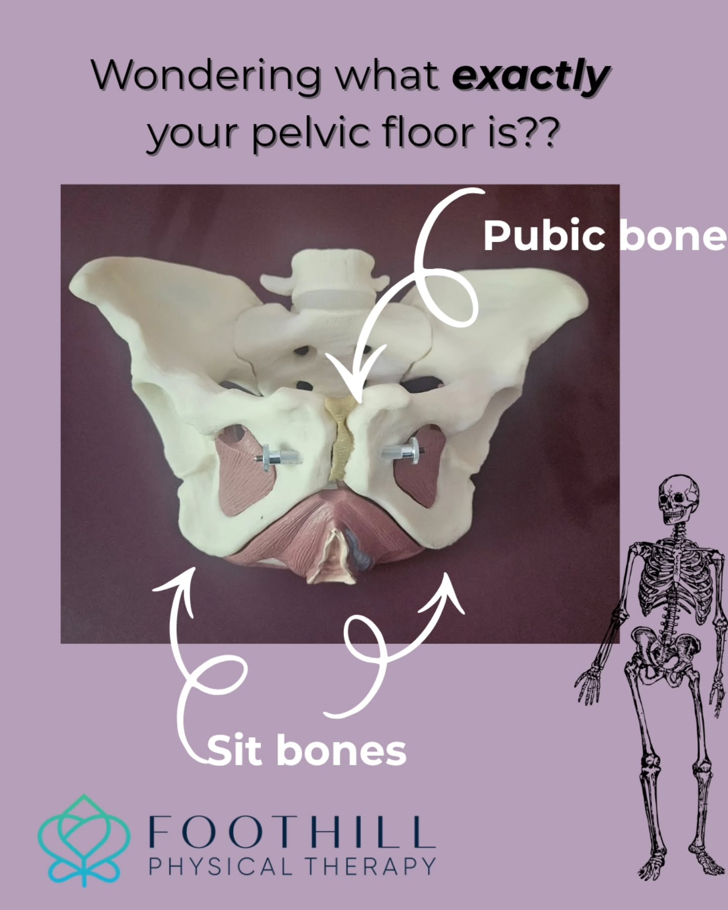 When I'm out talking to people in the community, I often hear that people aren't really sure WHAT the pelvic floor is, WHERE it is or WHAT it does...
🤓 It's a group of muscles surrounding your genitals and anus (all genders have a pelvic floor!) It quite literally is the very bottom (the floor) of your torso and supports bowel, bladder, and reproductive functions as well as being part of your "core."
You may need pelvic floor PT if you:
💦 Leak when you cough, sneeze, laugh, jump.
🧻 Strain to 💩 or have to wipe, wipe, wipe
🏃♀️ Use the bathroom more than 8x/day
💥 Pain with tampon insertion or s3x
🏋♀️Experience heaviness or pain in the pelvis
👶Are pregnant or postpartum
🌟 If one or more of these was a surprise to you, it'll surprise others too! Many of these symptoms are common but not normal .... there IS treatment!
👉share with 3 friends for empowerment and health!
#Chronicpelvicpain #Vulvodynia #dyspareunia #pelvicpain #pelvichealth #pelvicfloorphysicaltherapy #pelvicpt #pelvicfloor #chronicpain #lowbackpainrelief #lightbladderleakage #constipation #pelvicorganprolapseawareness