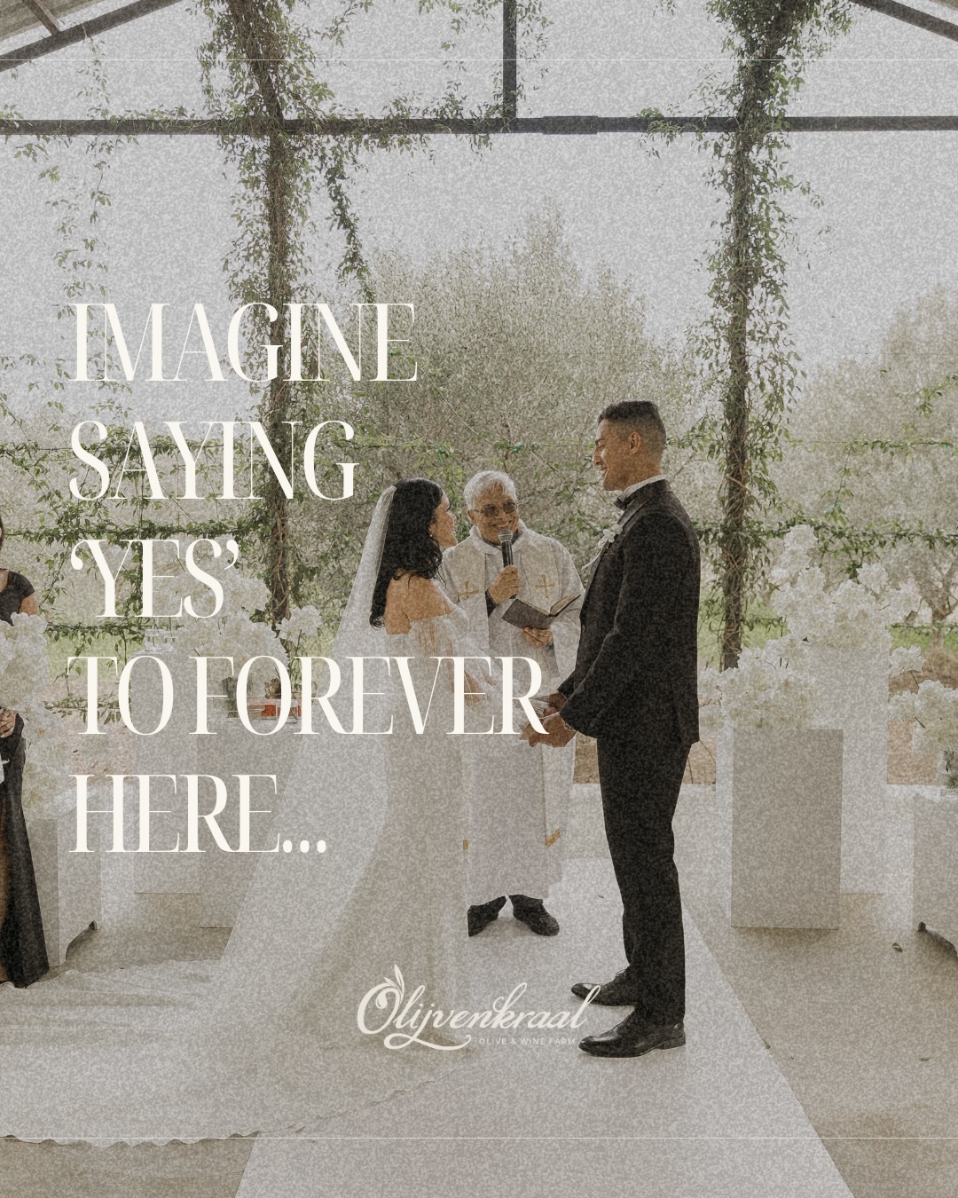 Imagine saying yes to forever here…
2026 is calling ✨
Timeless beauty, heartfelt moments, and a place made for love.
💌 Now booking 2026 weddings
Enquire via the link in bio or send us a mail at management@olijvenkraal.co.za
Photos: @bolandweddings_pyperpringle