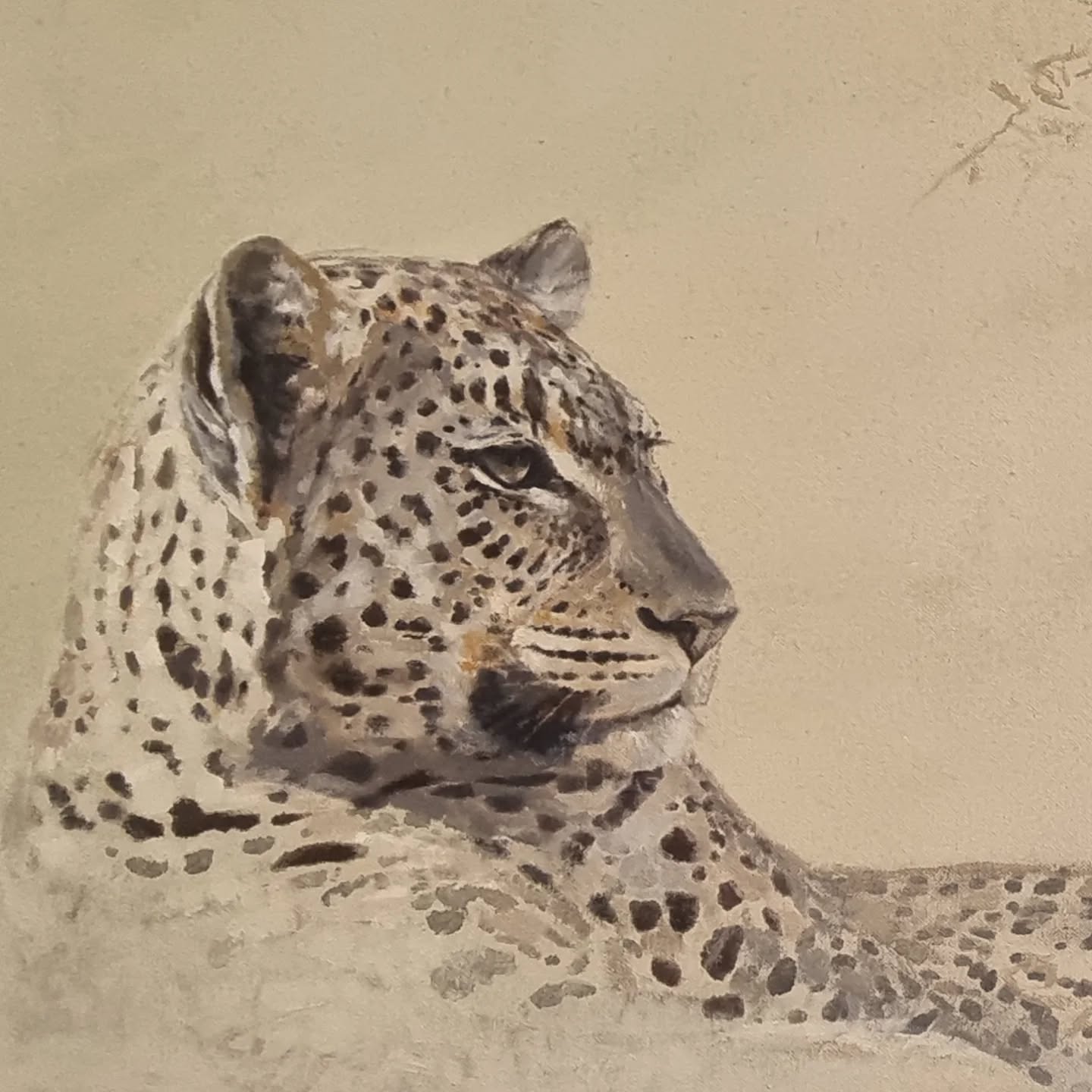 The studio beckons! Getting stuck into several new canvasses. #artdaily #artgallery #amysandyslumsdaine #oilpainting #oilpainter