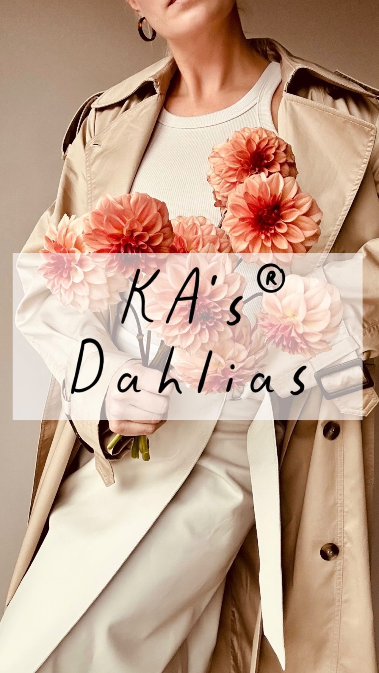 Nu när vi är licenserade återförsäljare av KA’s ® dahlias - @santacruzdahlias kommer vi även att sälja dessa sorter i år 🤩💃
KA’s® Boho Peach
KA’s® Bella Luna
KA’s® Cinder Rose
KA’s® Coral Sea
KA’s® Creme Brulee
KA’s® Daybreak
KA’s® Honeycomb
KA’s® Mocha Jake
KA’s® Mocha Katie
KA’s® Pearl
KA’s® Penny Lane
KA’s® Rhubarb
Vi kan inte vänta tills odlingssäsongen drar igång och vi får dela dessa skönheter med er 🥰
As licensed sellers of KA’s ® dahlias - @santacruzdahlias we will also be selling these varieties this year 🤩💃
We can’t wait for the growing season to start and we can share these beauties with you 🥰
#santacruzdahlias #kasdahlias #unicorndahlia #storiesandcreations #dahlia