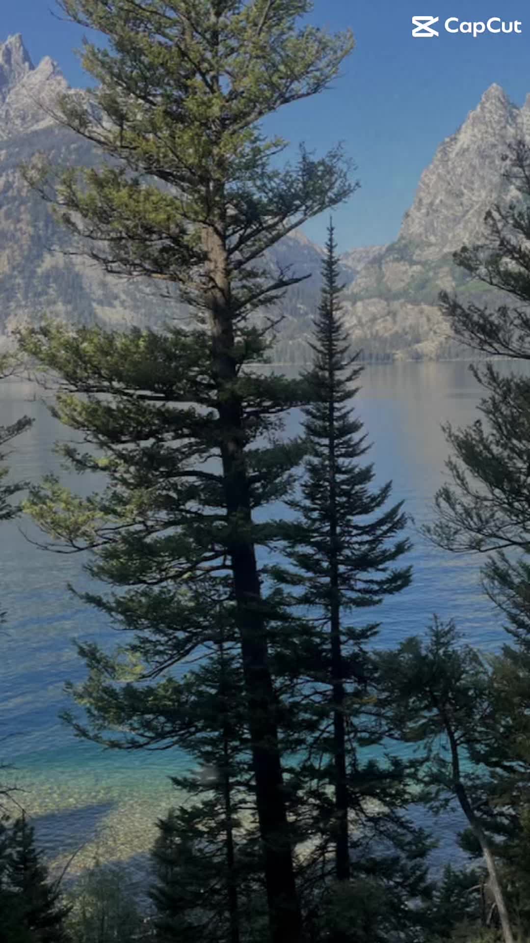 Jenny Lake