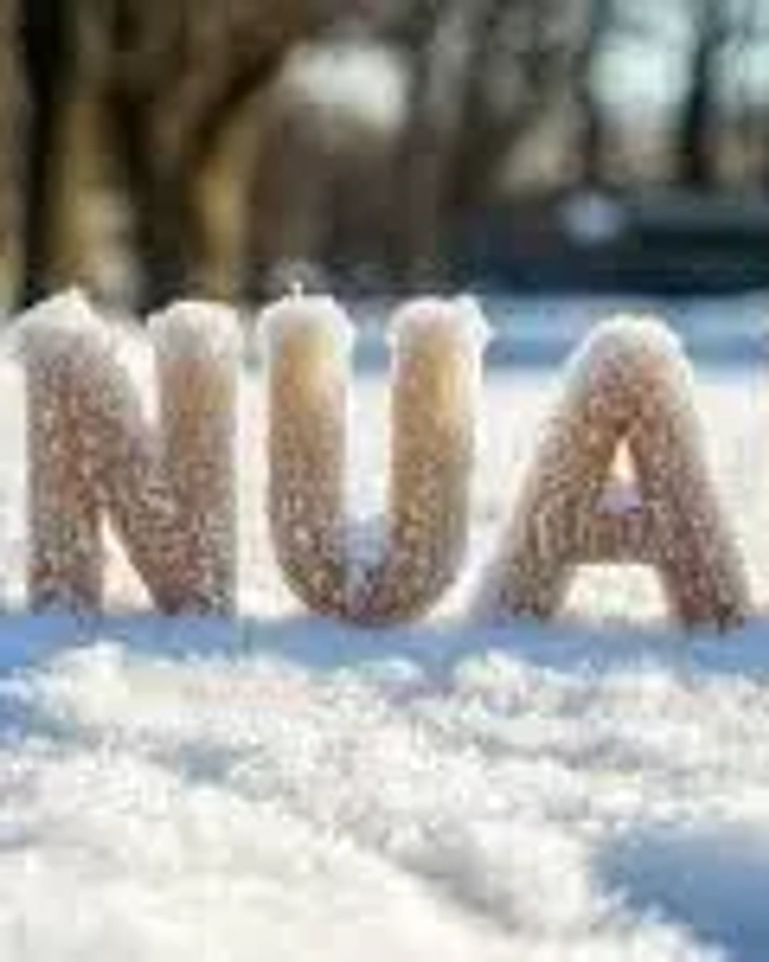 January Blog: Vision & Goals
Building Our Future Together: Why Vision Matters in Marriage
Go to our website to read our monthly blogs.
www.yhmmatters.com