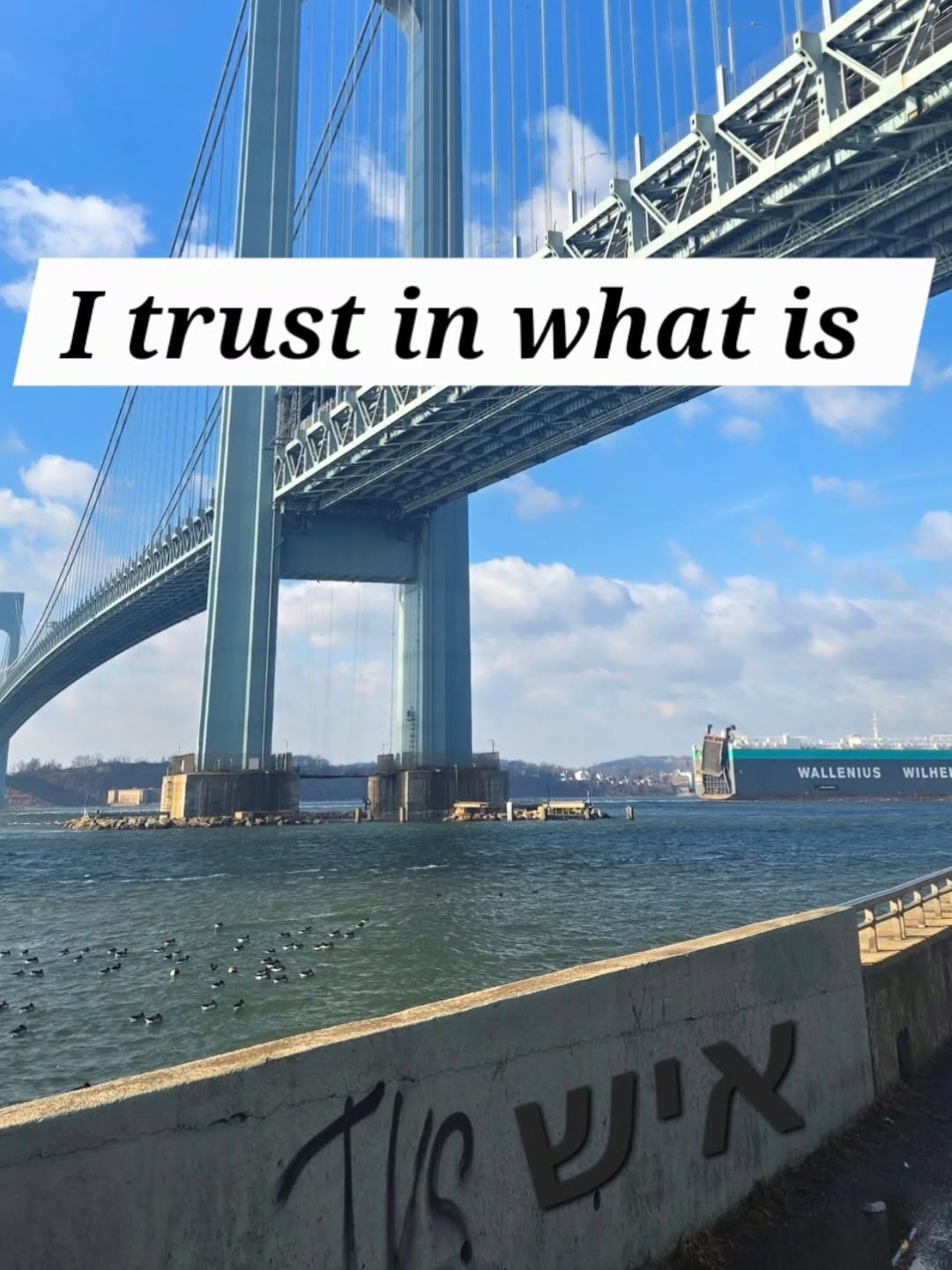 #trust #reality #trust #God