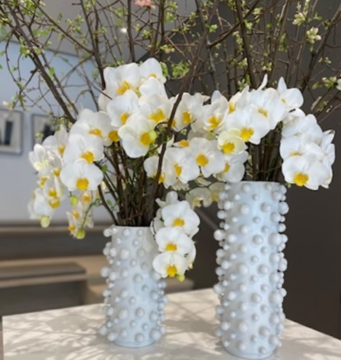 Quince season begins. The first sign that spring is near.
#LuxuryFlorals #FineFlowers #SeasonalBlooms #FloralElegance #BotanicalLuxury