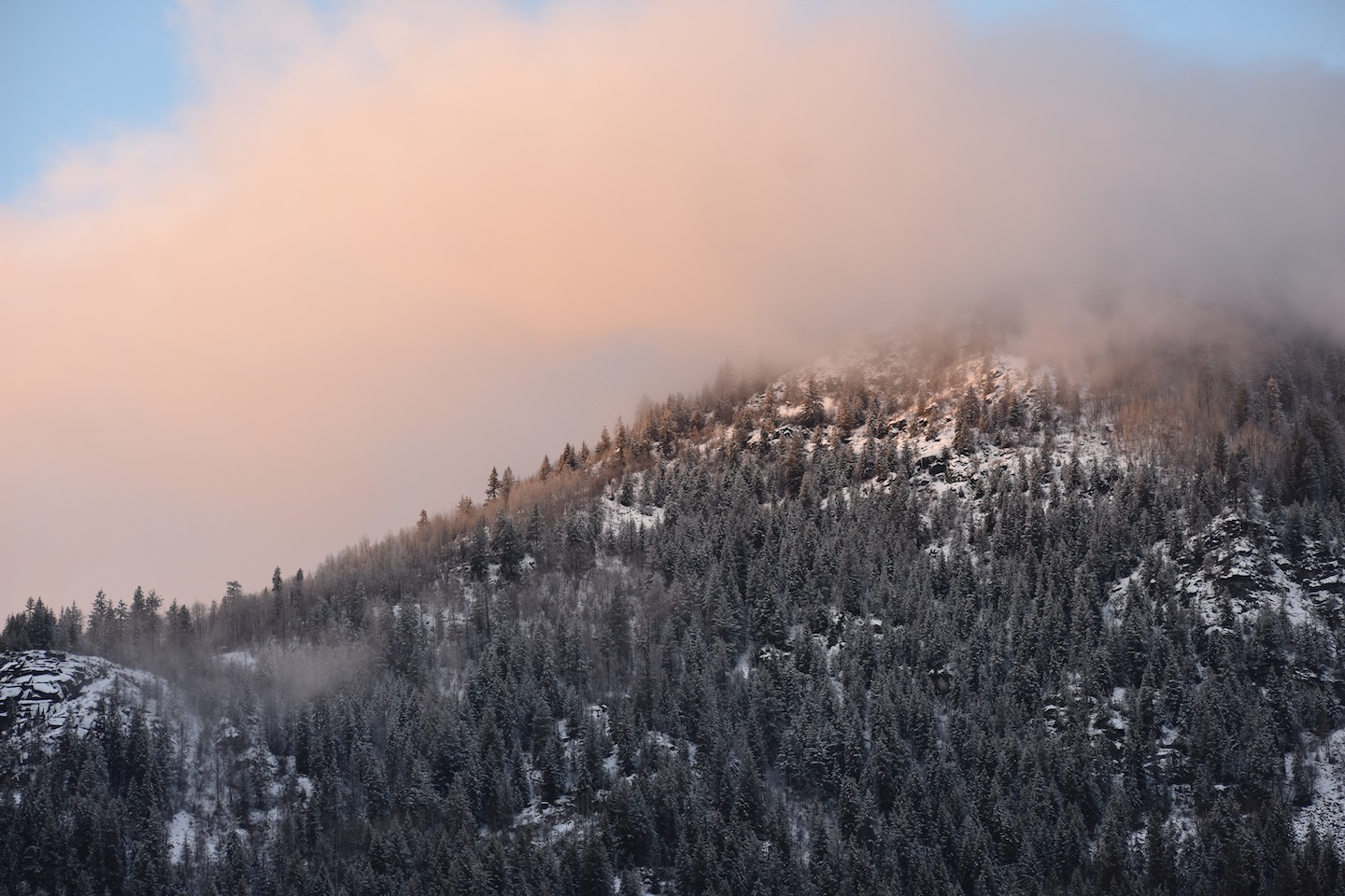 Jan 15 - Beauty everyday - feeling the light slowly returning