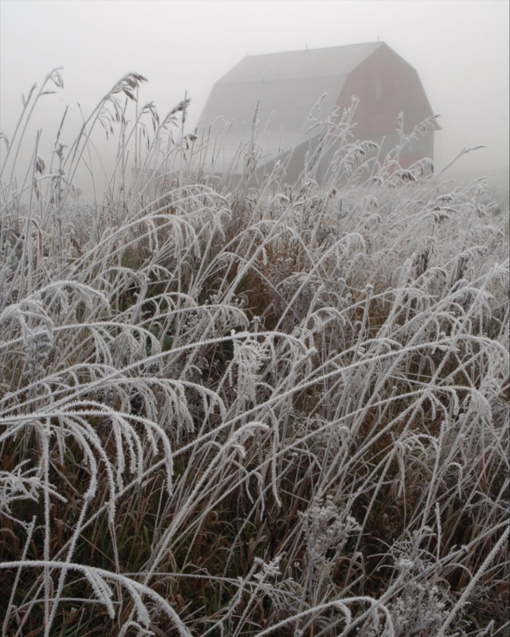 Snowy outside and stuck inside? Is your brain in vacation mode?
Our 2026 price list and availability are now posted online. We have some great specials running for the spring and fall.
Your future self will thank you
Xo