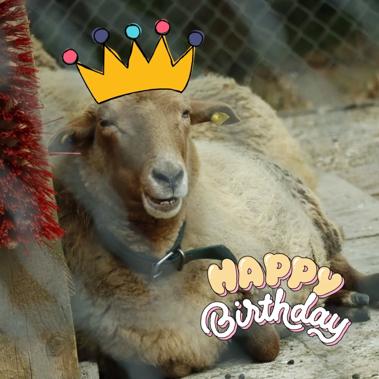 Heute kann es regnen, stürmen oder schneien,
denn du strahlst für uns, wie der Sonnenschein ☀️
Liebe Paula, wir wünschen dir alles Liebe und Gute zu deinem 15. Geburtstag 🎂💖
#abenteuerspielplatz #stuttgart #vaihingen